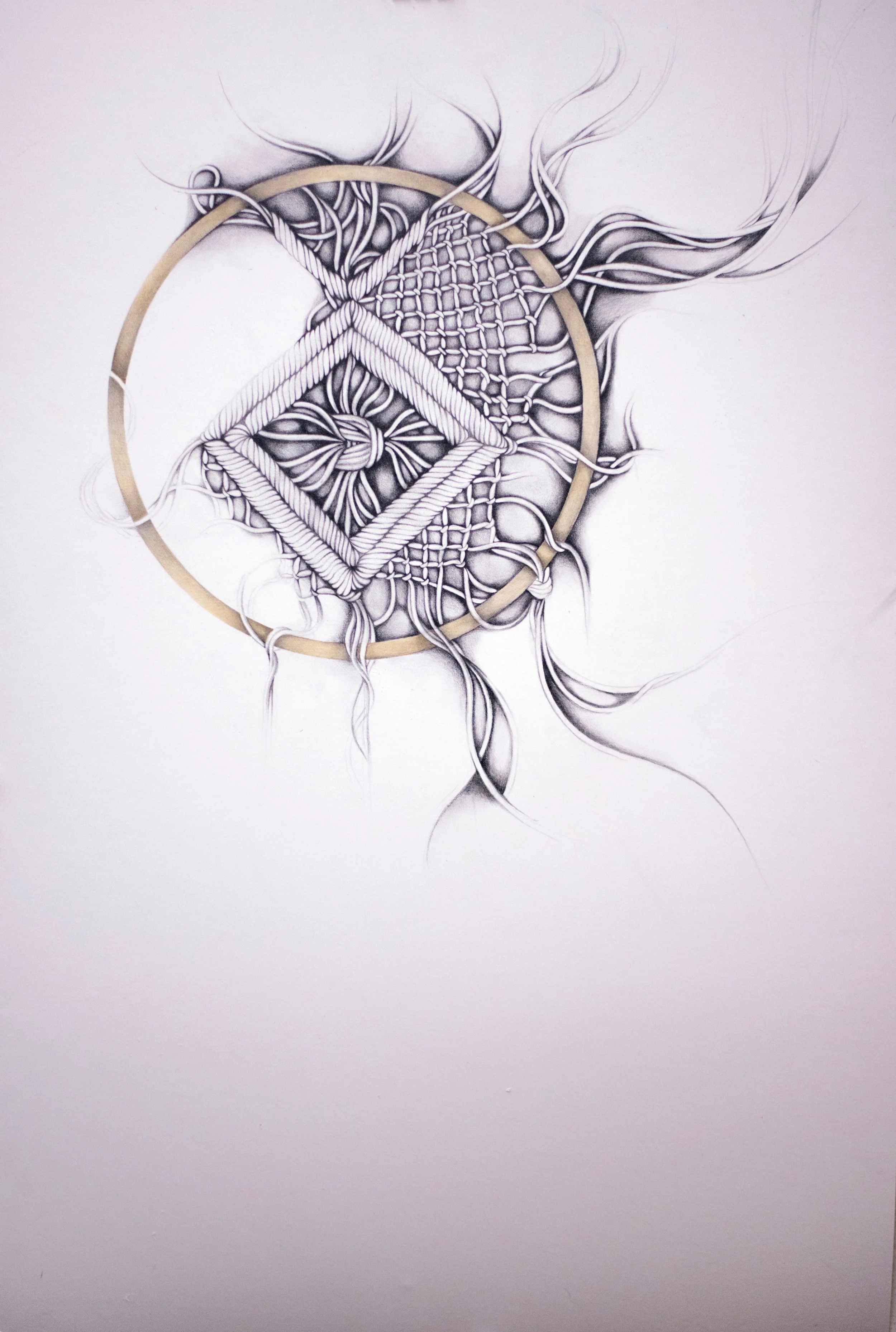 Interlacing the Threads of Life II