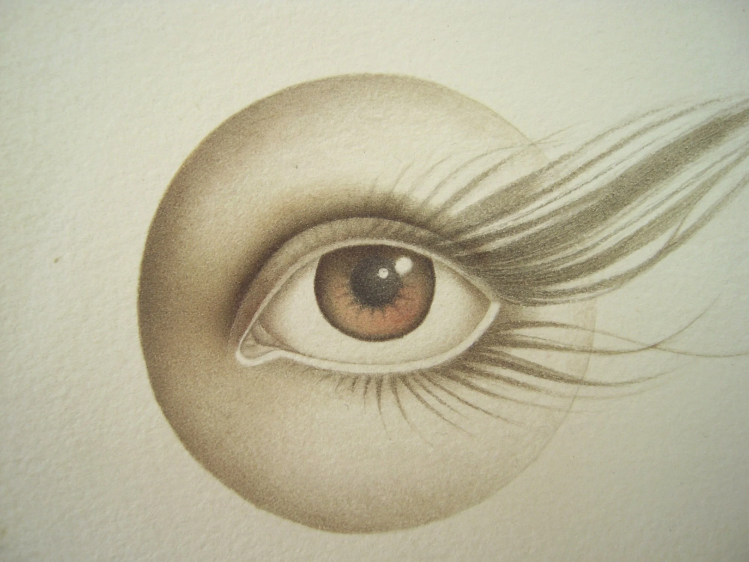 Vision Beyond