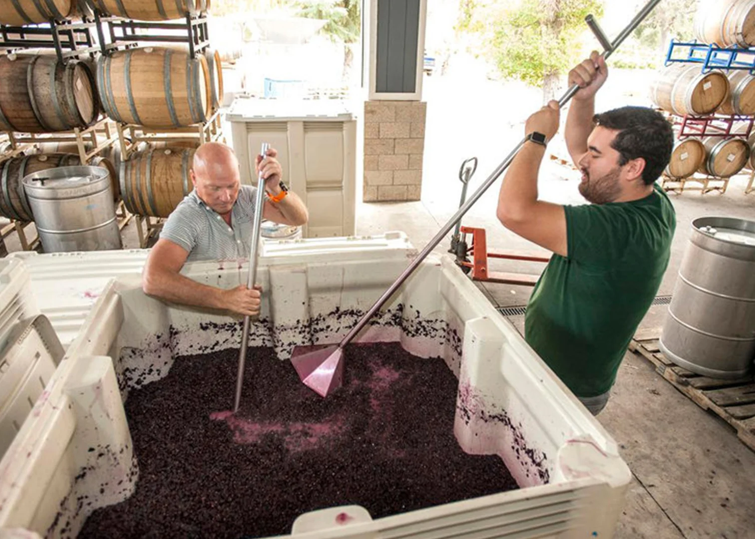 WineMaking-2.jpg