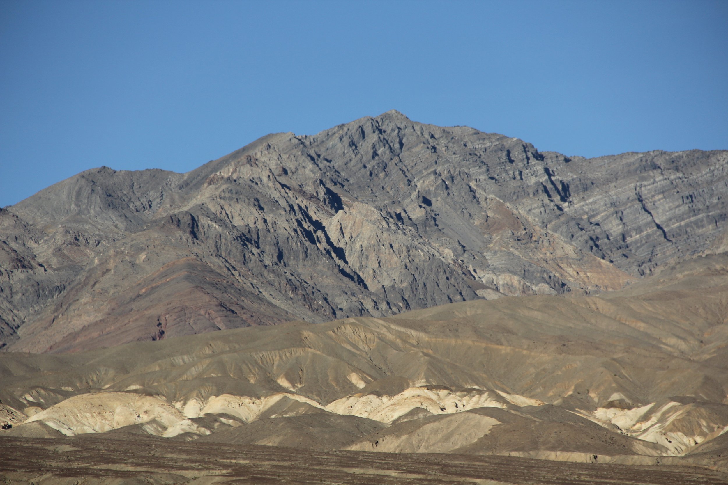 IMG_7937.jpg