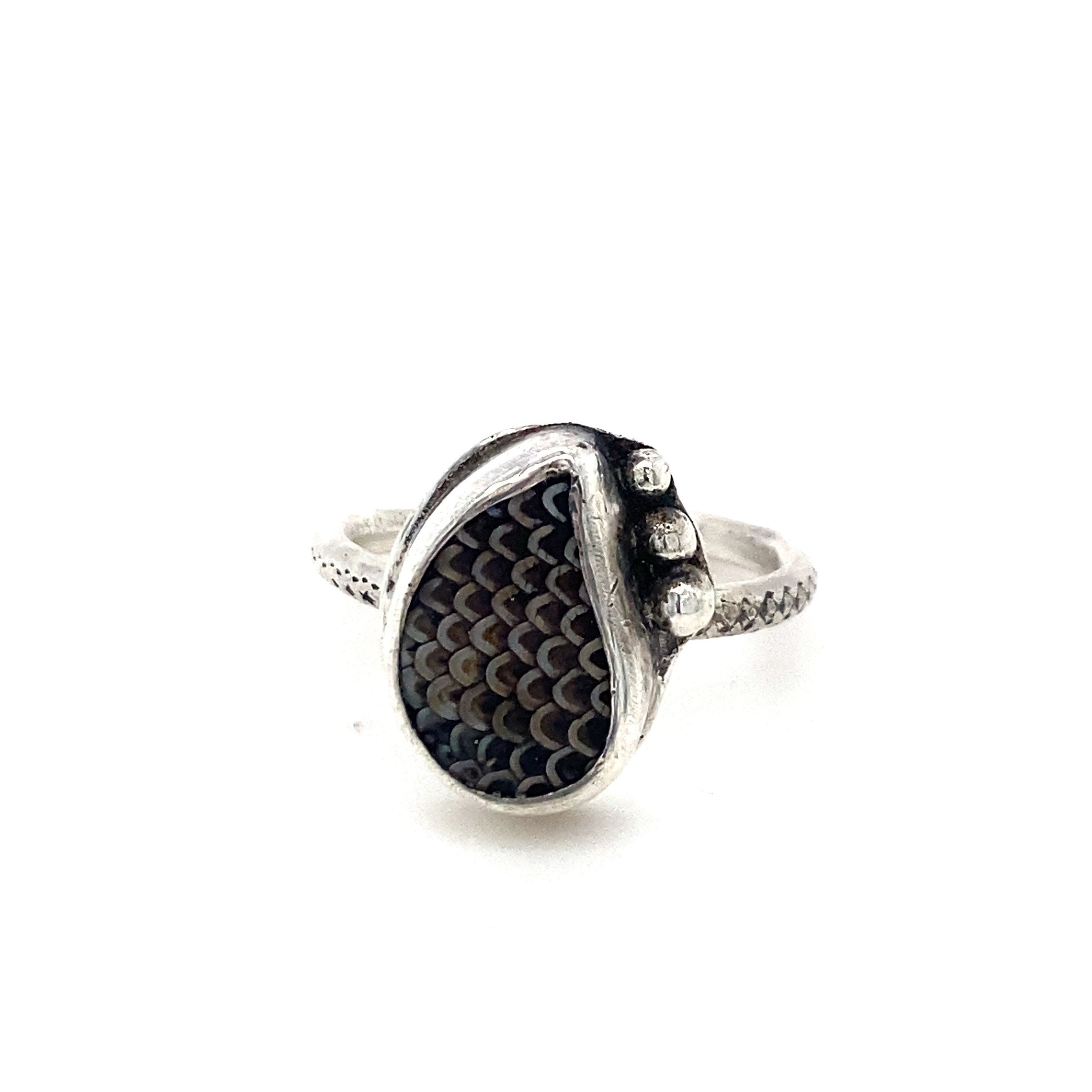 https://i.etsystatic.com/5889853/r/il/5a4b40/5045832231/il_fullxfull.5045832231_jvvu.jpg