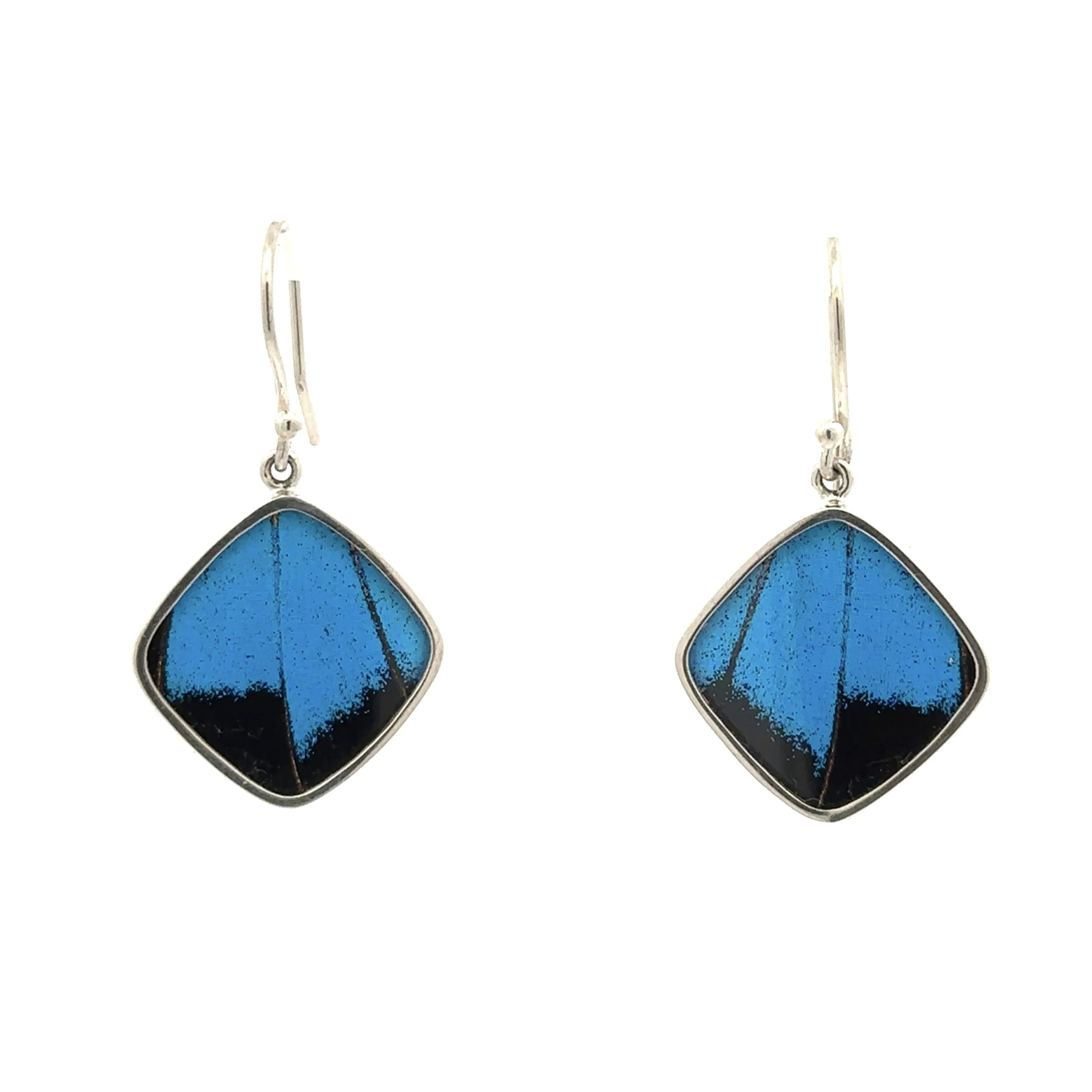 Small Blue Butterfly wing Earrings