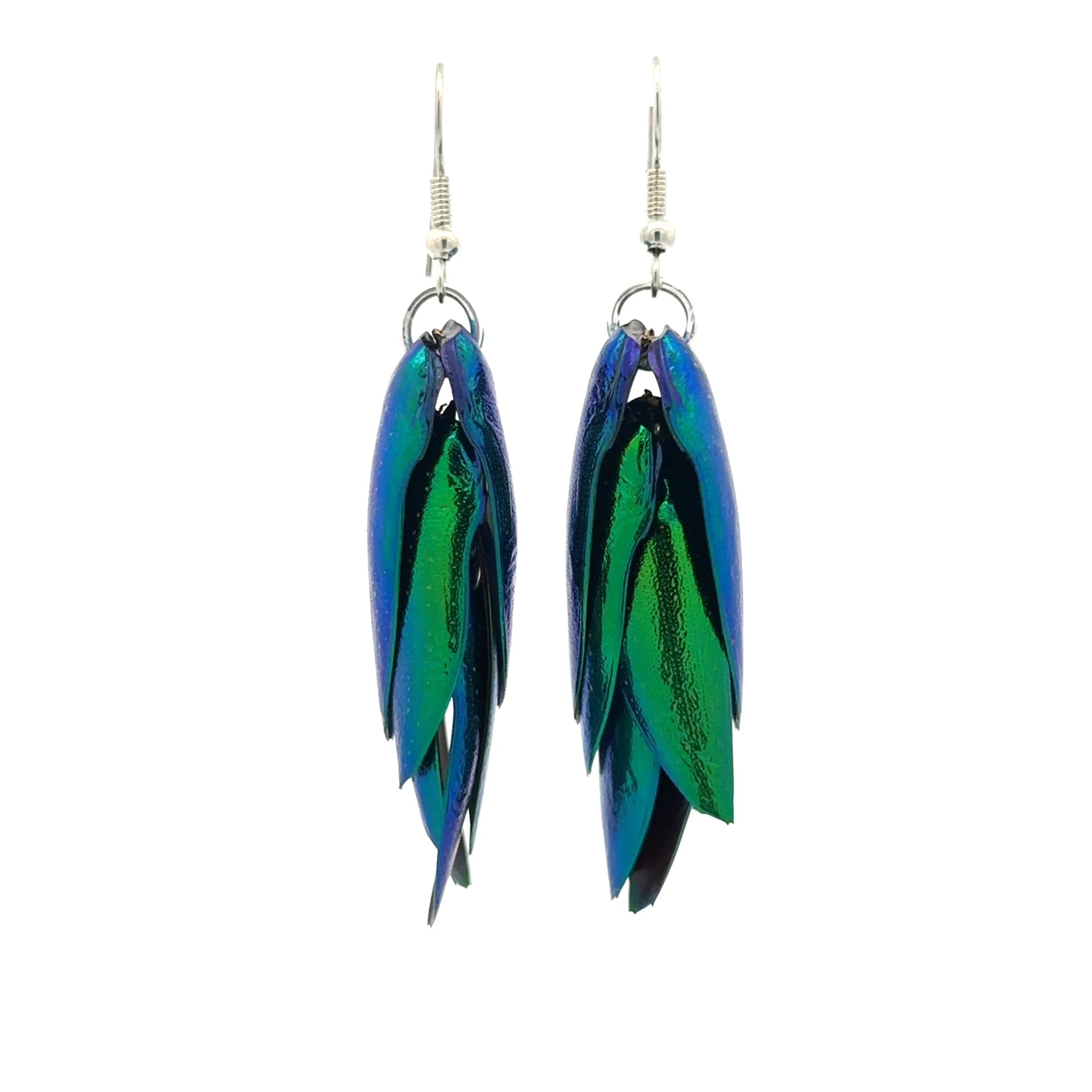 Beetle Wing Earrings