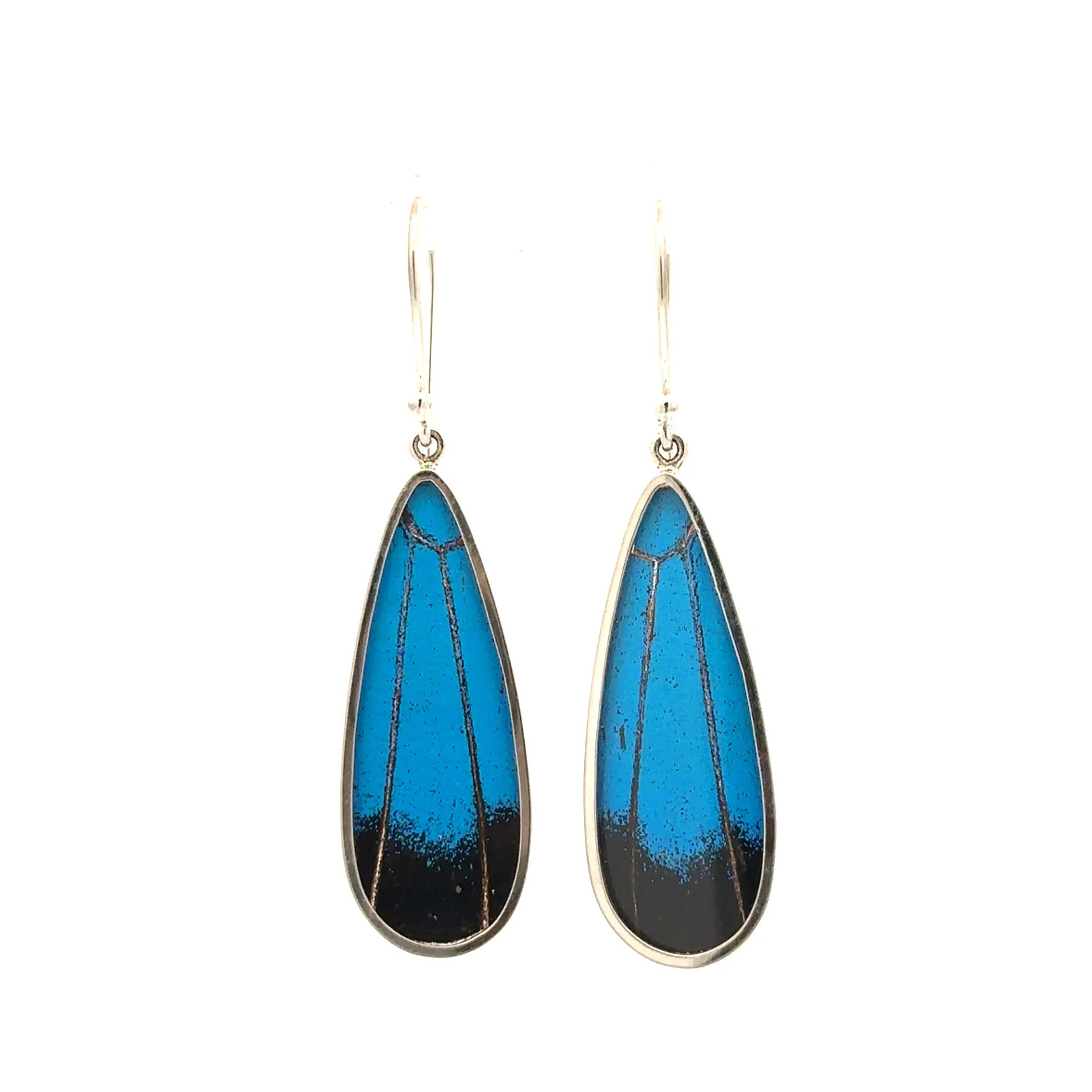 Blue Butterfly Wing Earrings