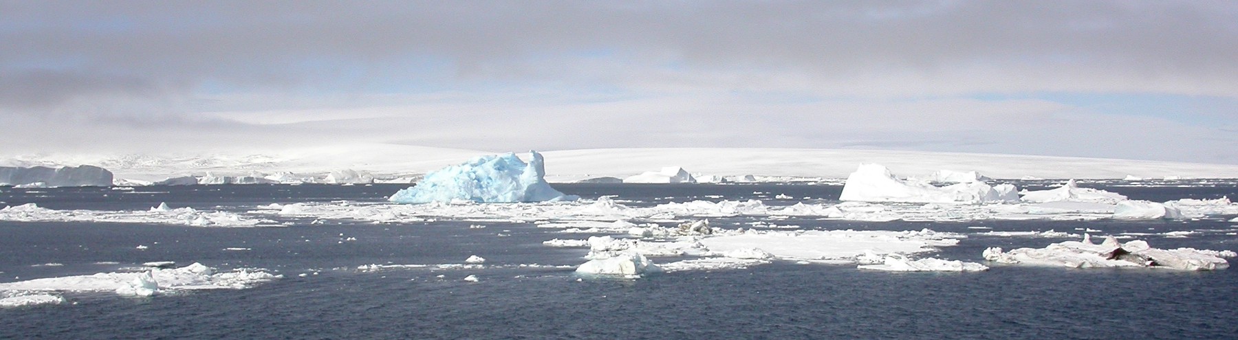 wide ice.jpeg
