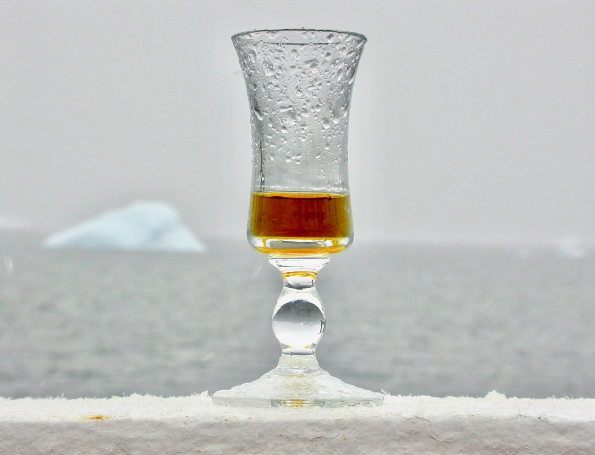 Artic XO.jpeg
