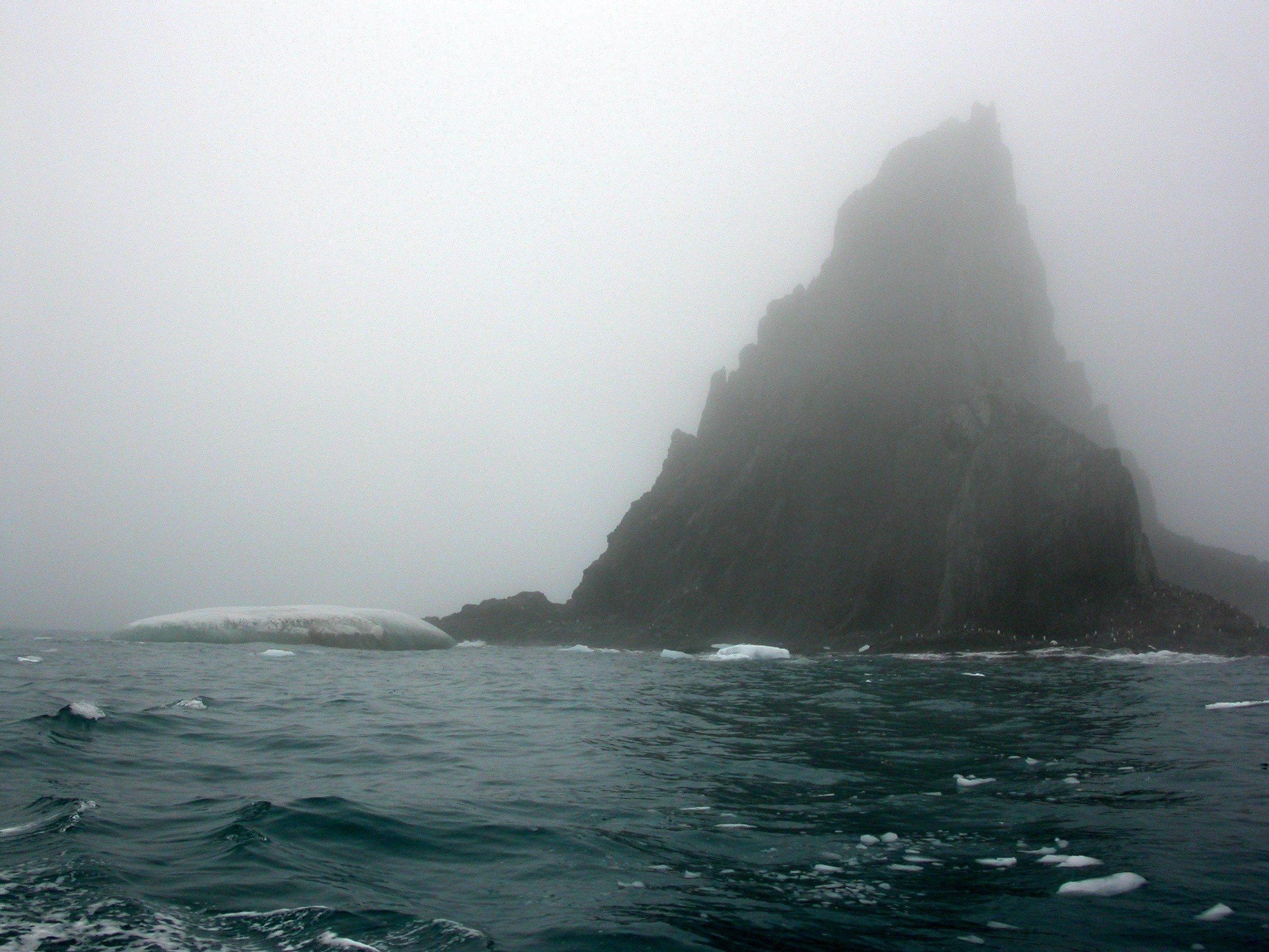elephant island.jpeg