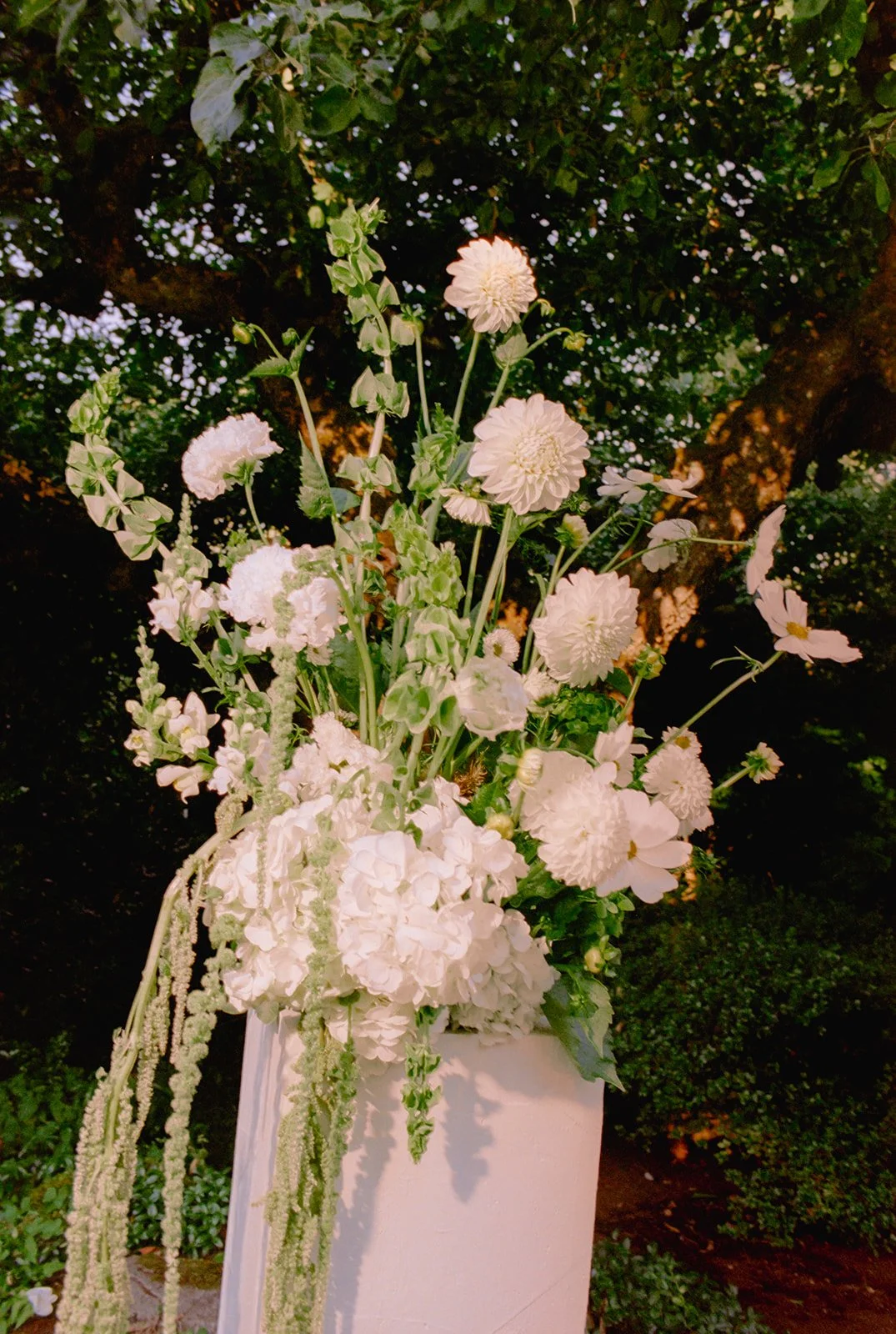 SusieDan-Wedding-JessBuckleyPhoto-50.jpg