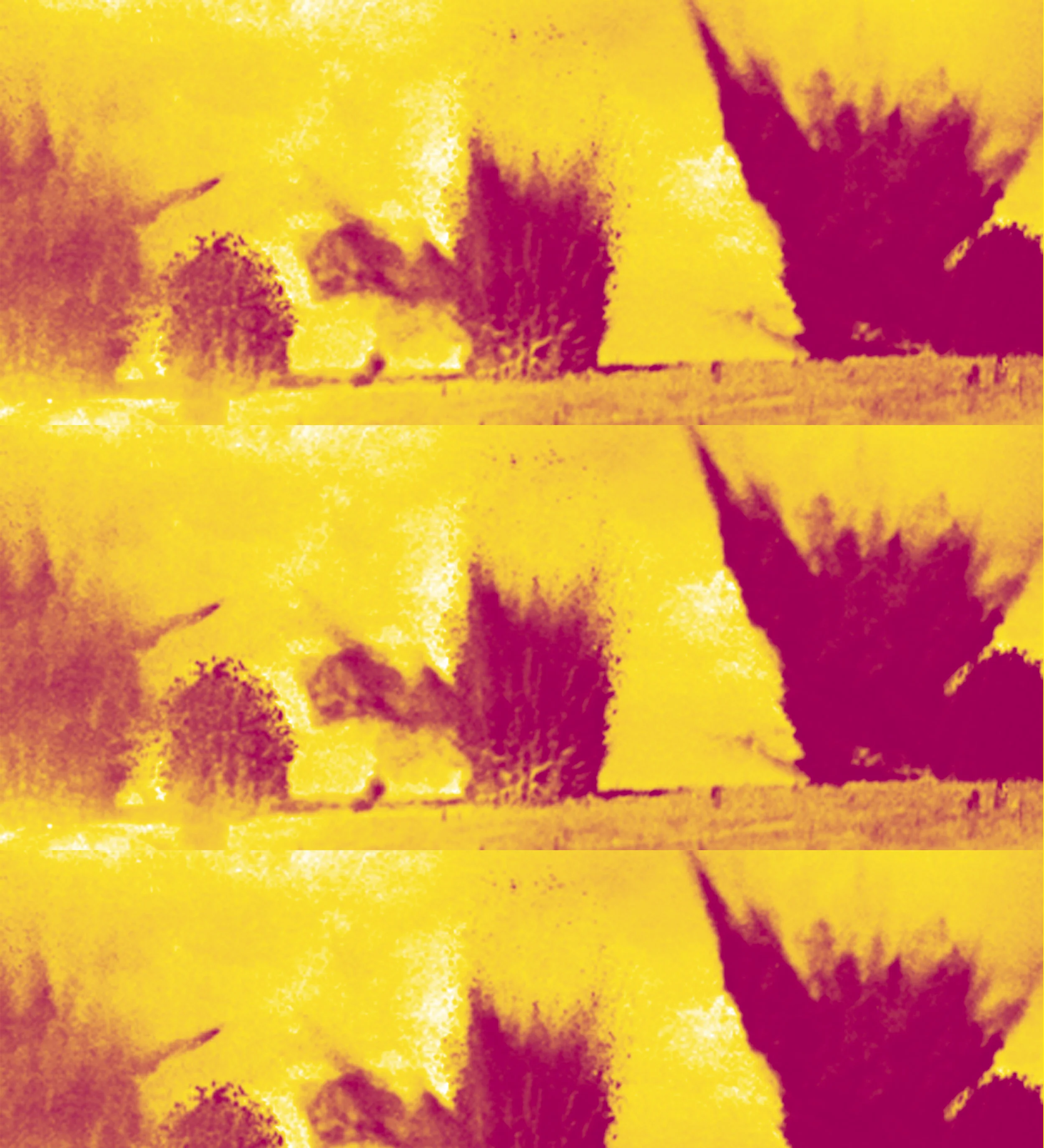 Untitled-2.jpg