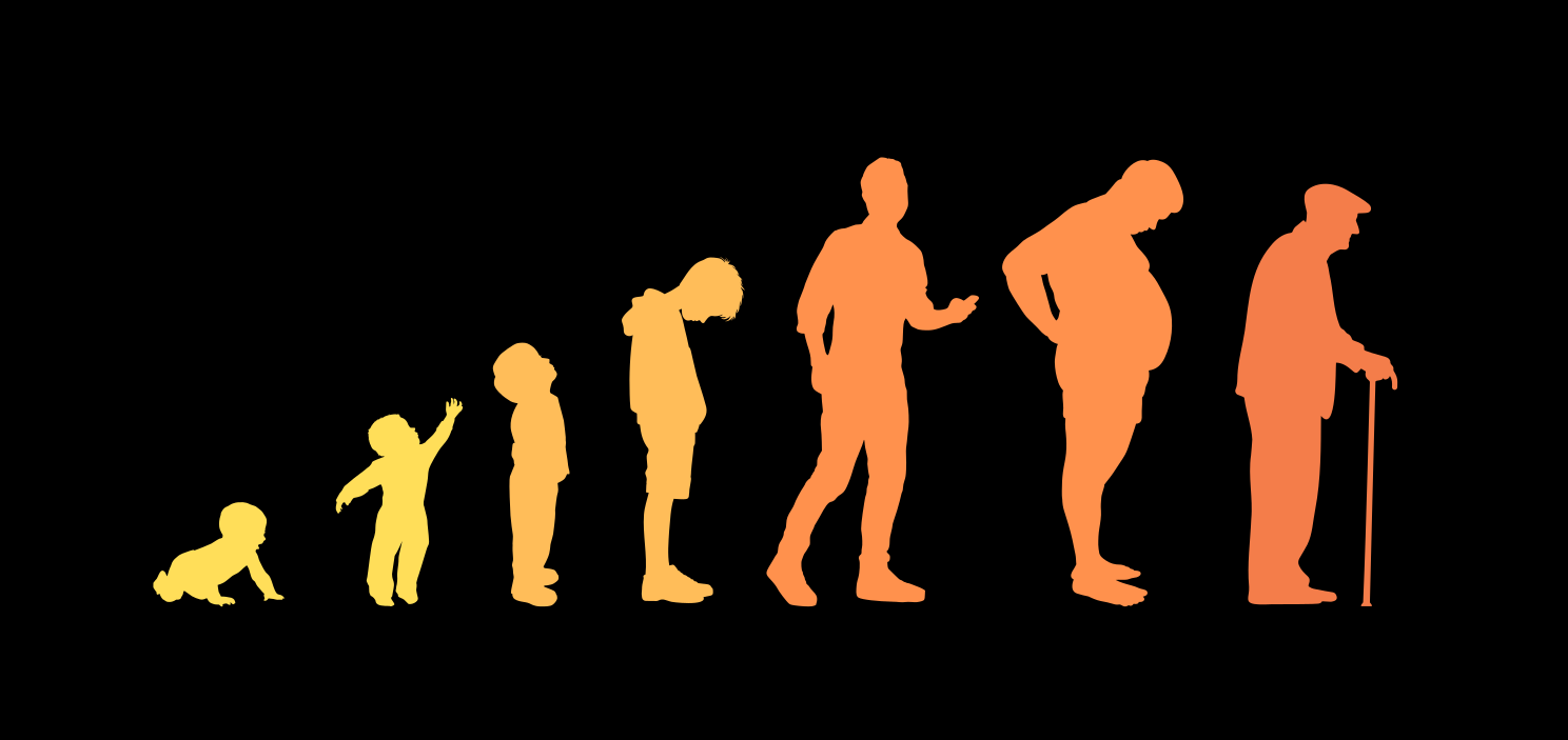 Longitudinal Databases in Ageing Research — Oxcitas