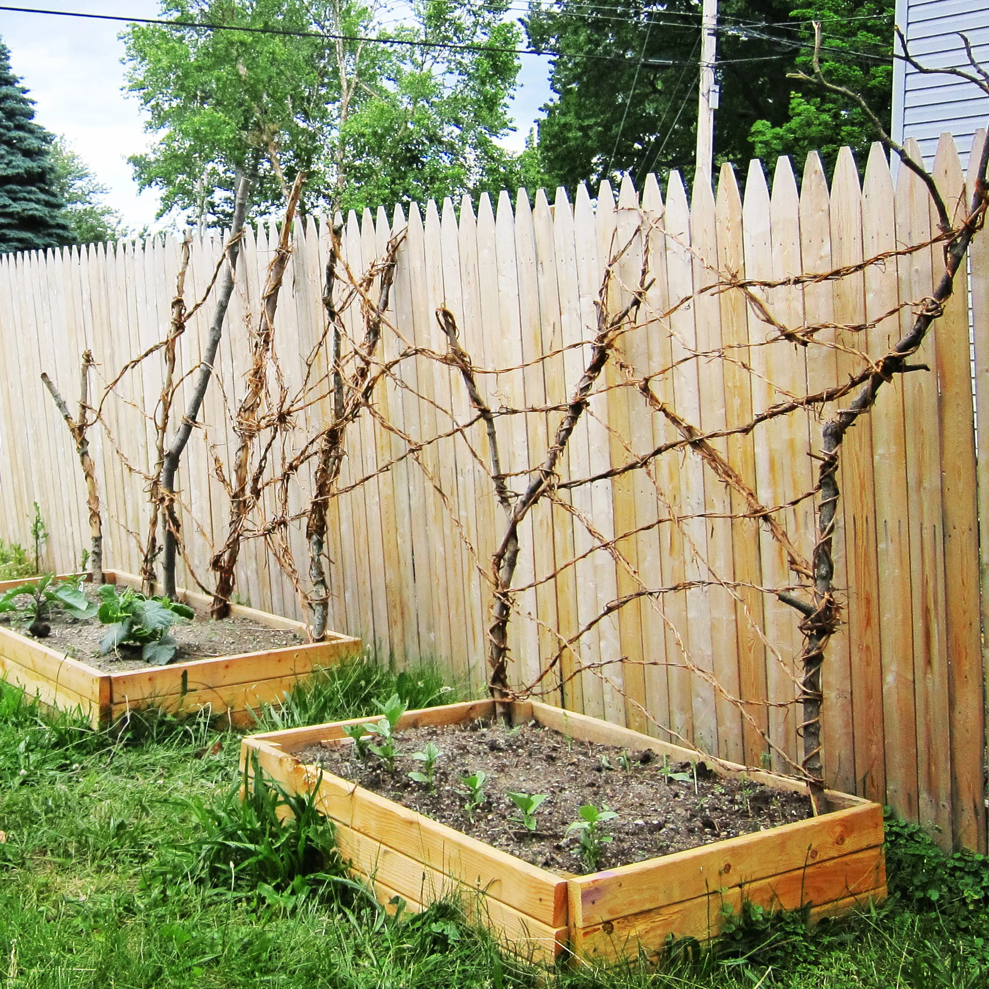 stickwork-1.jpg