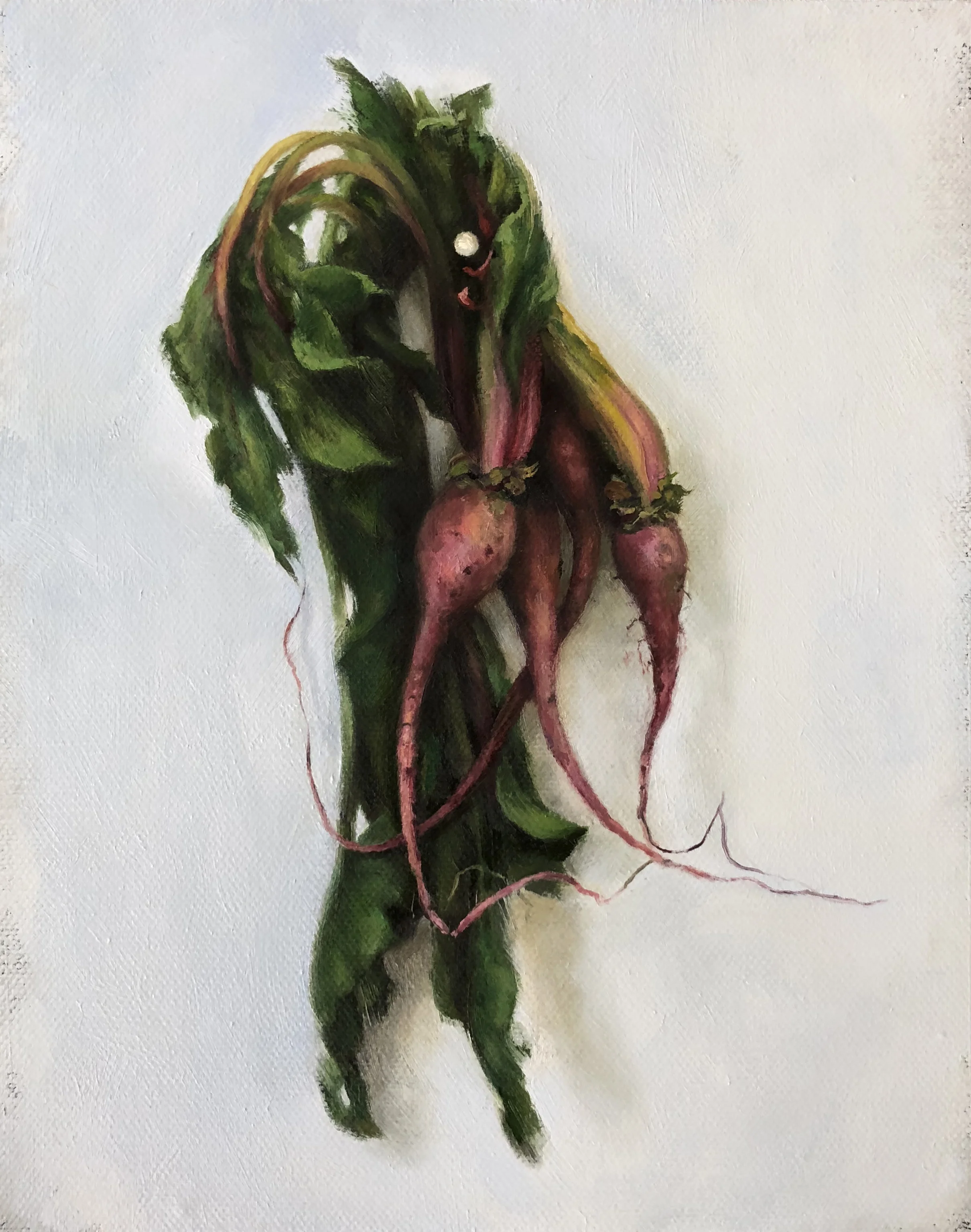   THE RADISHES VI  oil on canvas 10” x 8” 2018 
