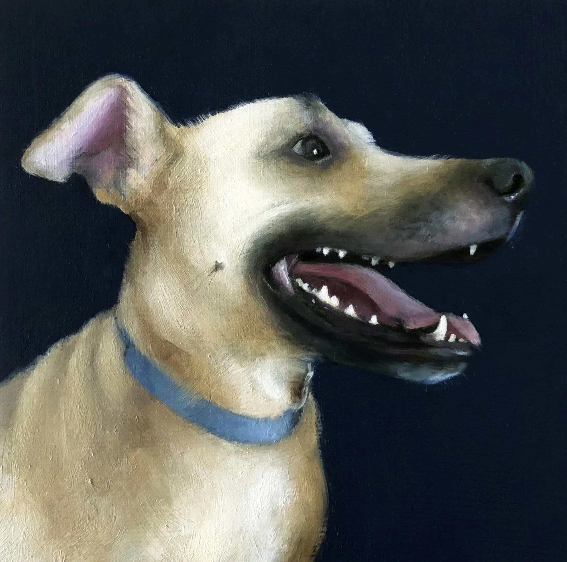   RINGO  oil on panel 4” x 4” 2019 