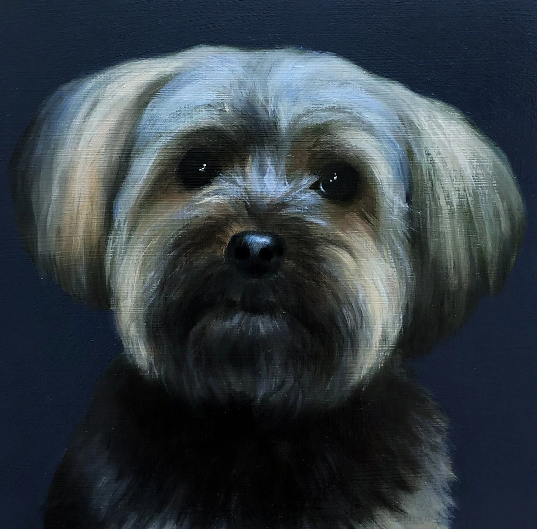   DIXIE  oil on panel 5” x 5” 2019 