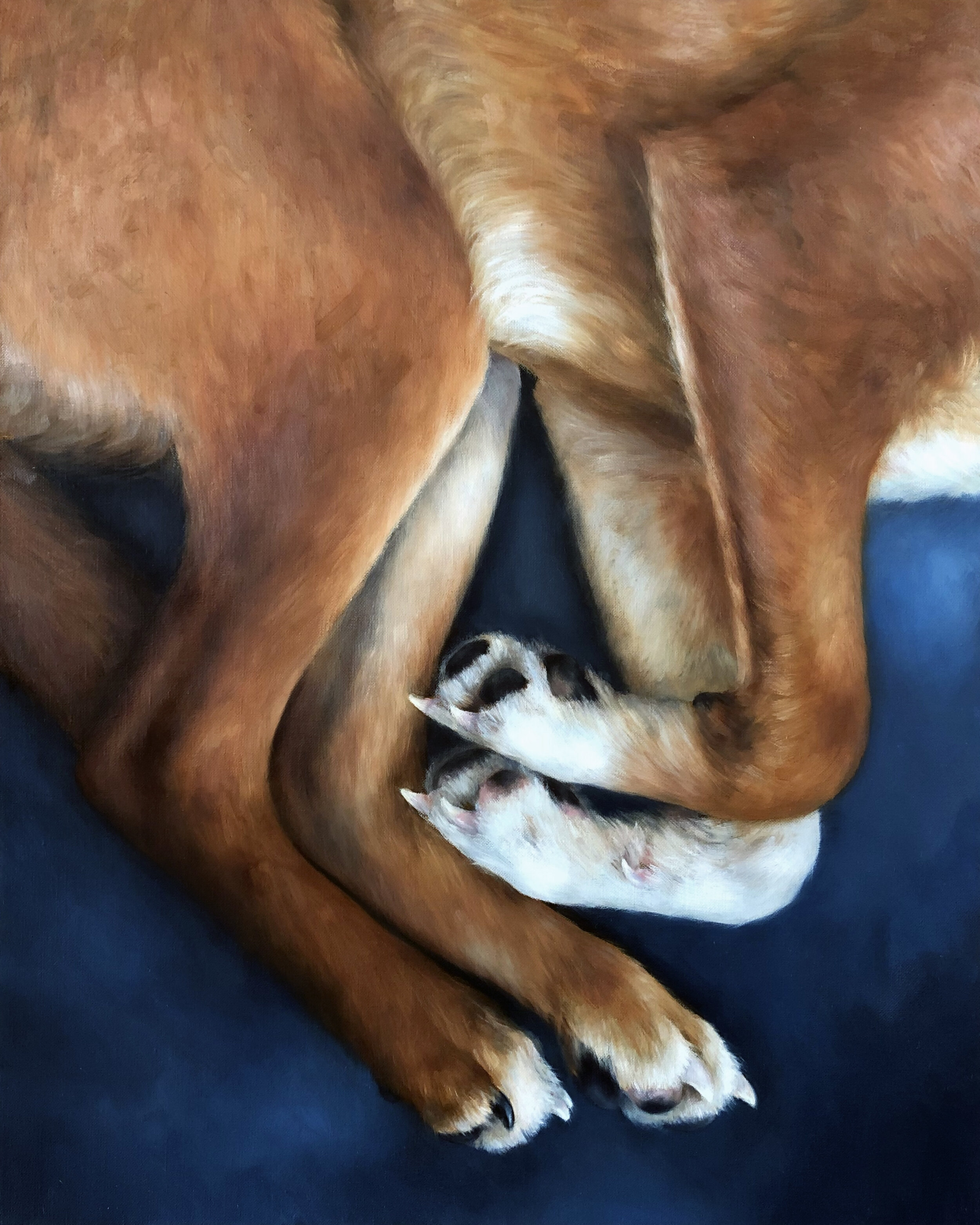   UNTITLED (PAWS)  oil on linen 30” x 24” 2020 