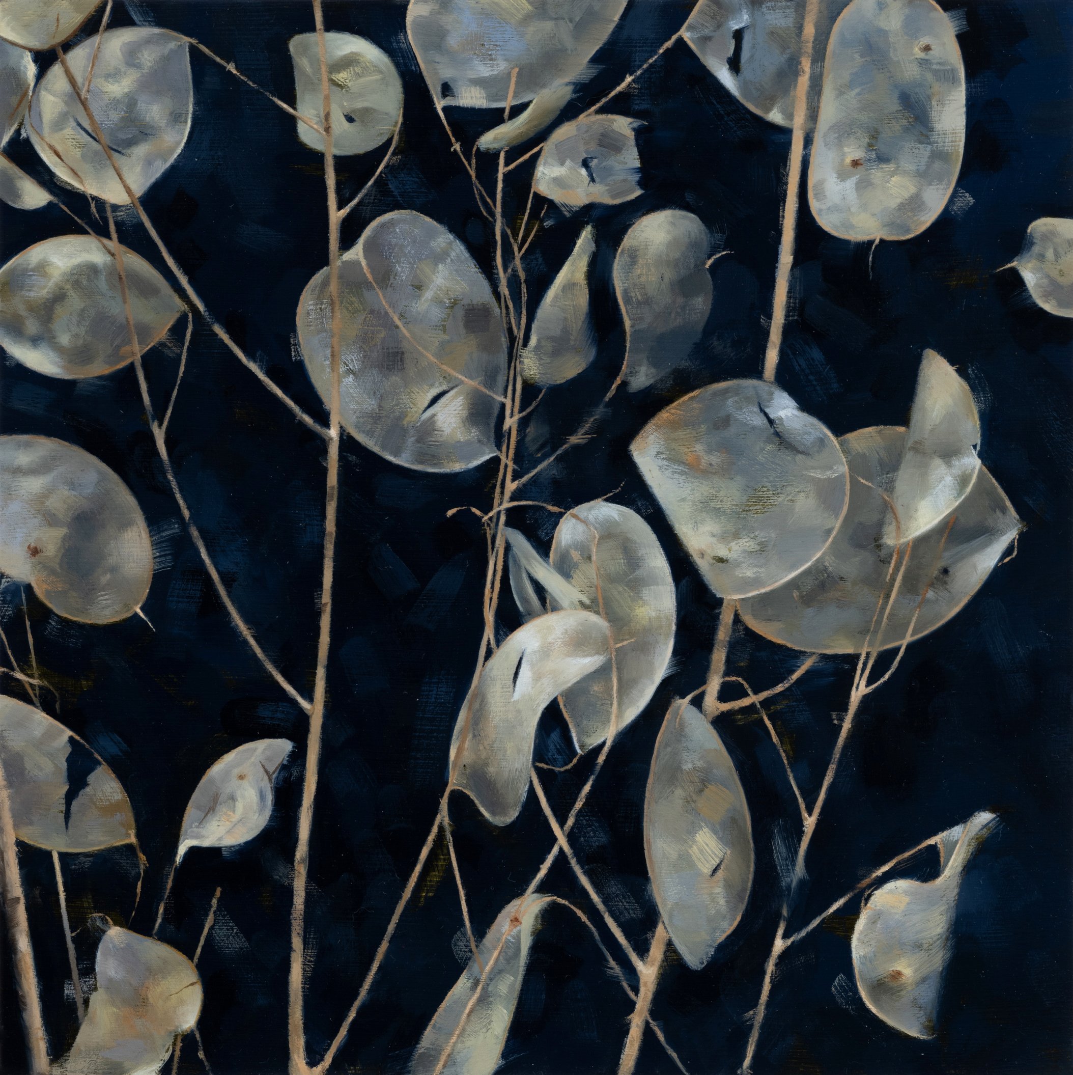   LUNARIA (JANUARY 12)  oil on panel 8” x 8” 2022 