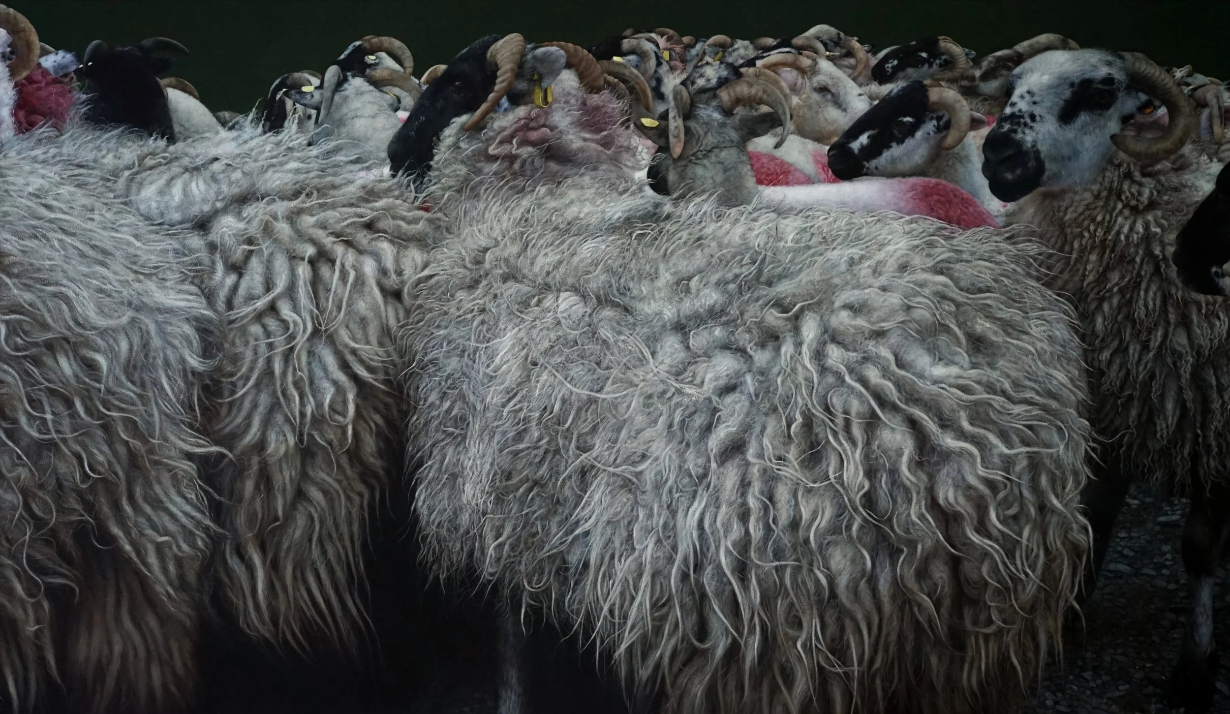   GROUP THINK  oil on canvas 42” x 72” 2024 