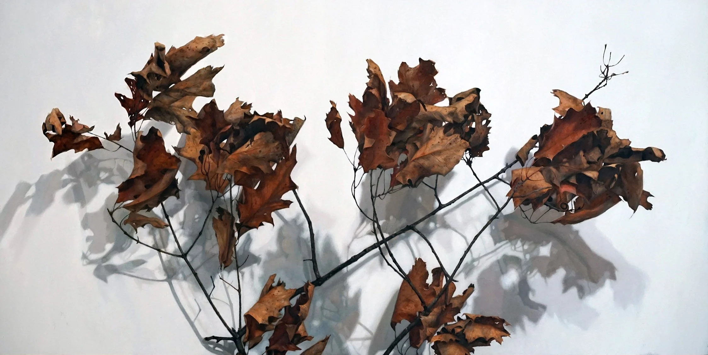   OLD ORCHARD ROAD  oil on panel 18” x 36” 2026 