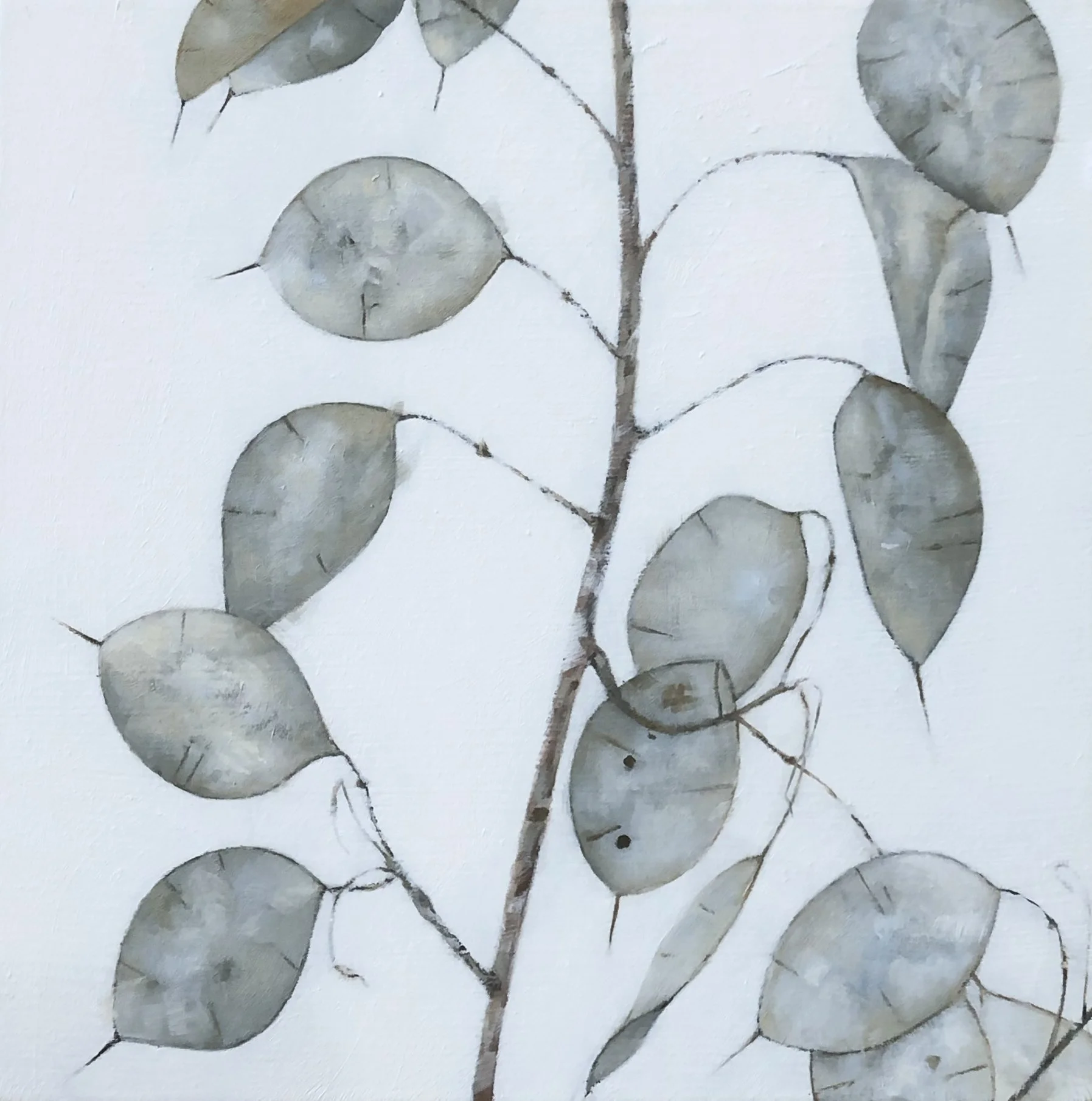   LUNARIA (DAMASCUS) IV  oil on panel 5” x 5” 2024 