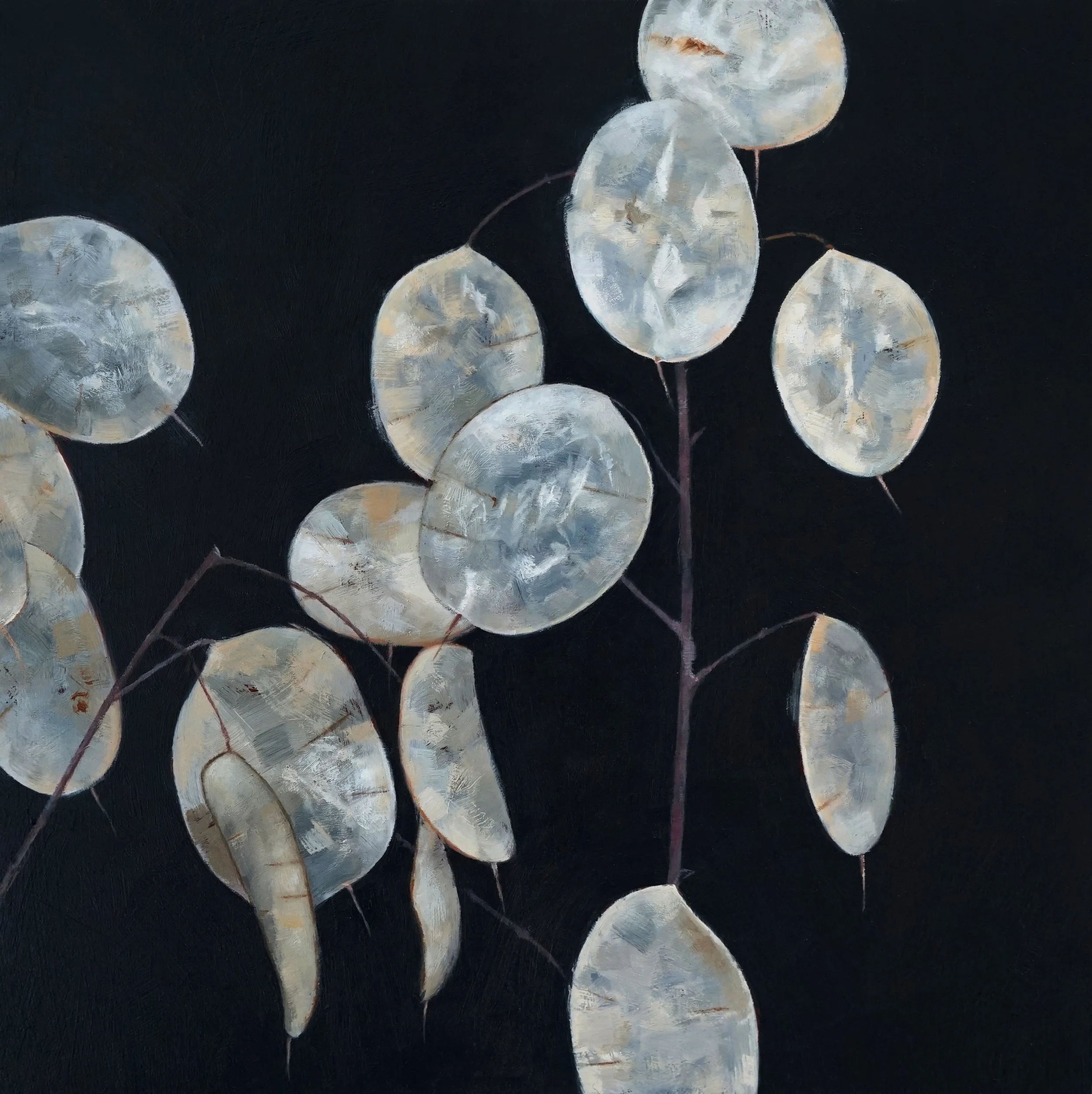   LUNARIA (DAMASCUS) III  oil on panel 6” x 6” 2023 