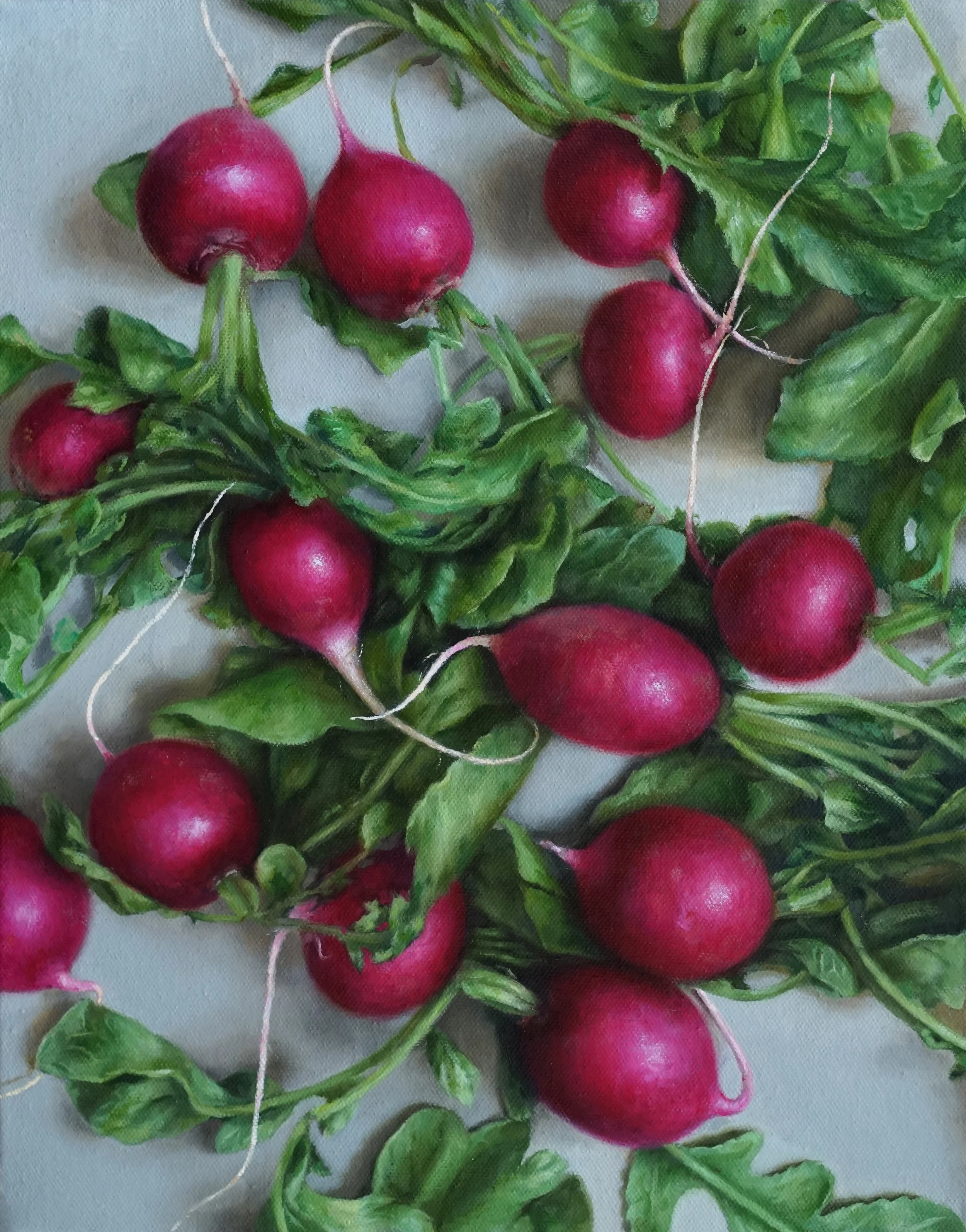   RADISHES  oil on canvas 14” x 11” 2019 