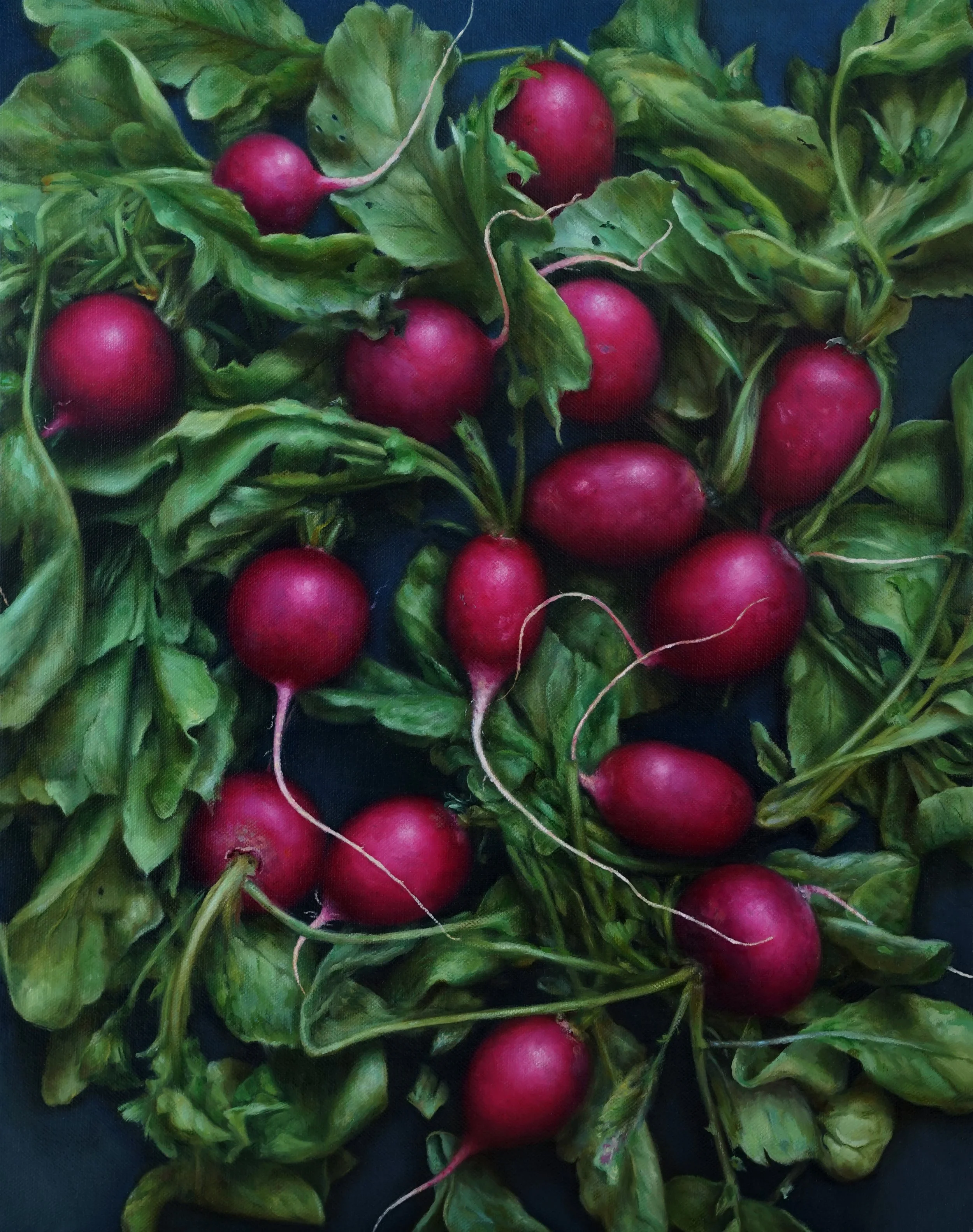   RADISHES II  oil on canvas 20” x 16” 2019 