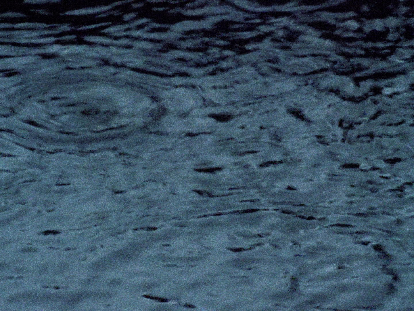 vlcsnap-2021-08-10-11h54m38s738.png