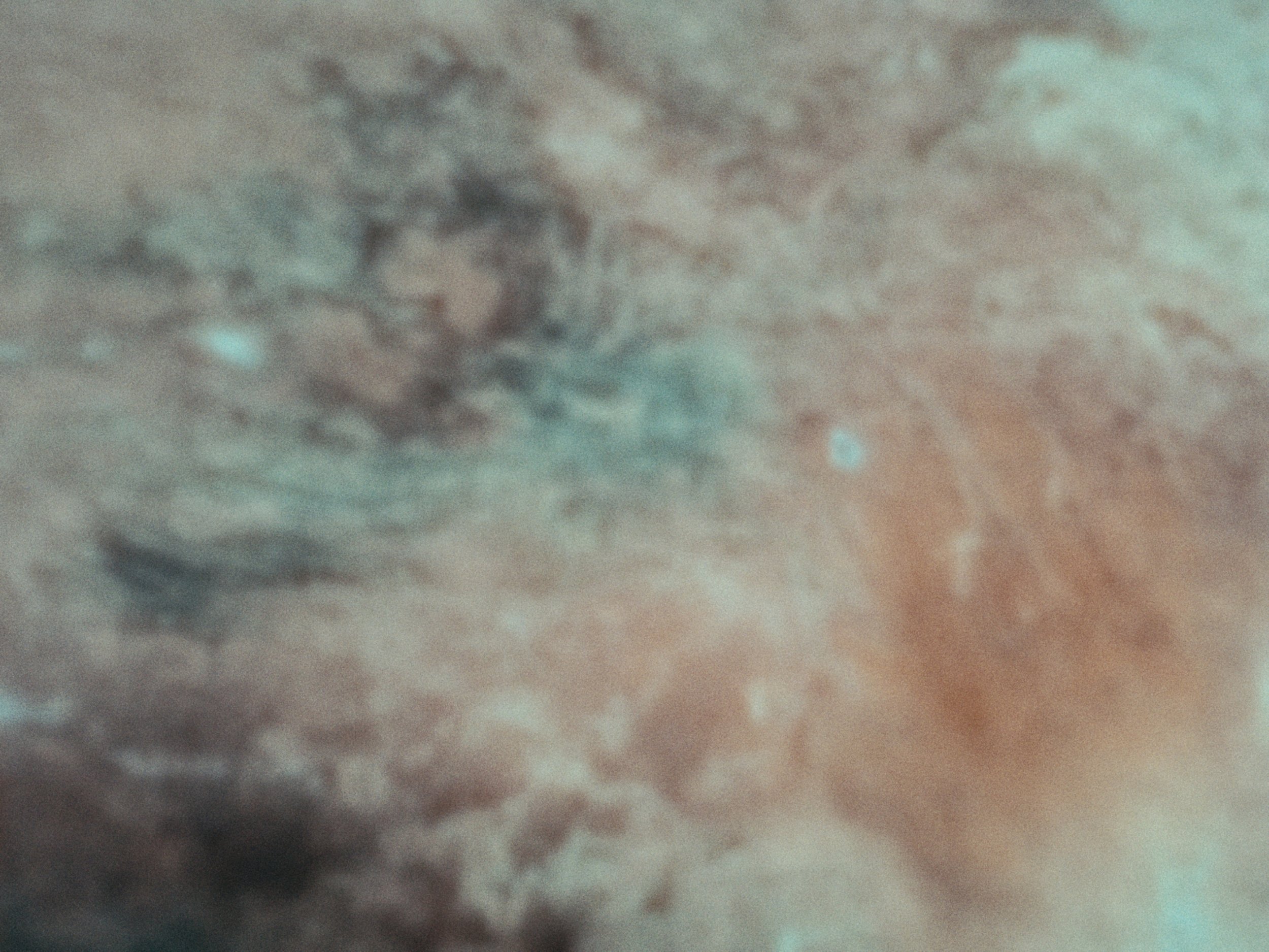 Untitled_1.11.1.jpg
