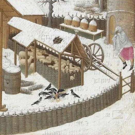 800px-Les_Très_Riches_Heures_du_duc_de_Berry_février.webp