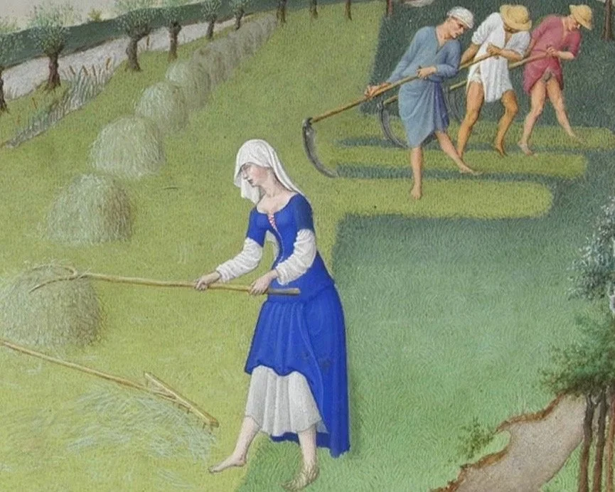 Les_Très_Riches_Heures_du_duc_de_Berry_juin.webp
