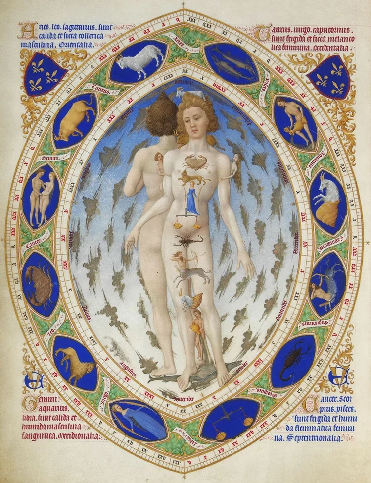 Anatomical_Man.webp