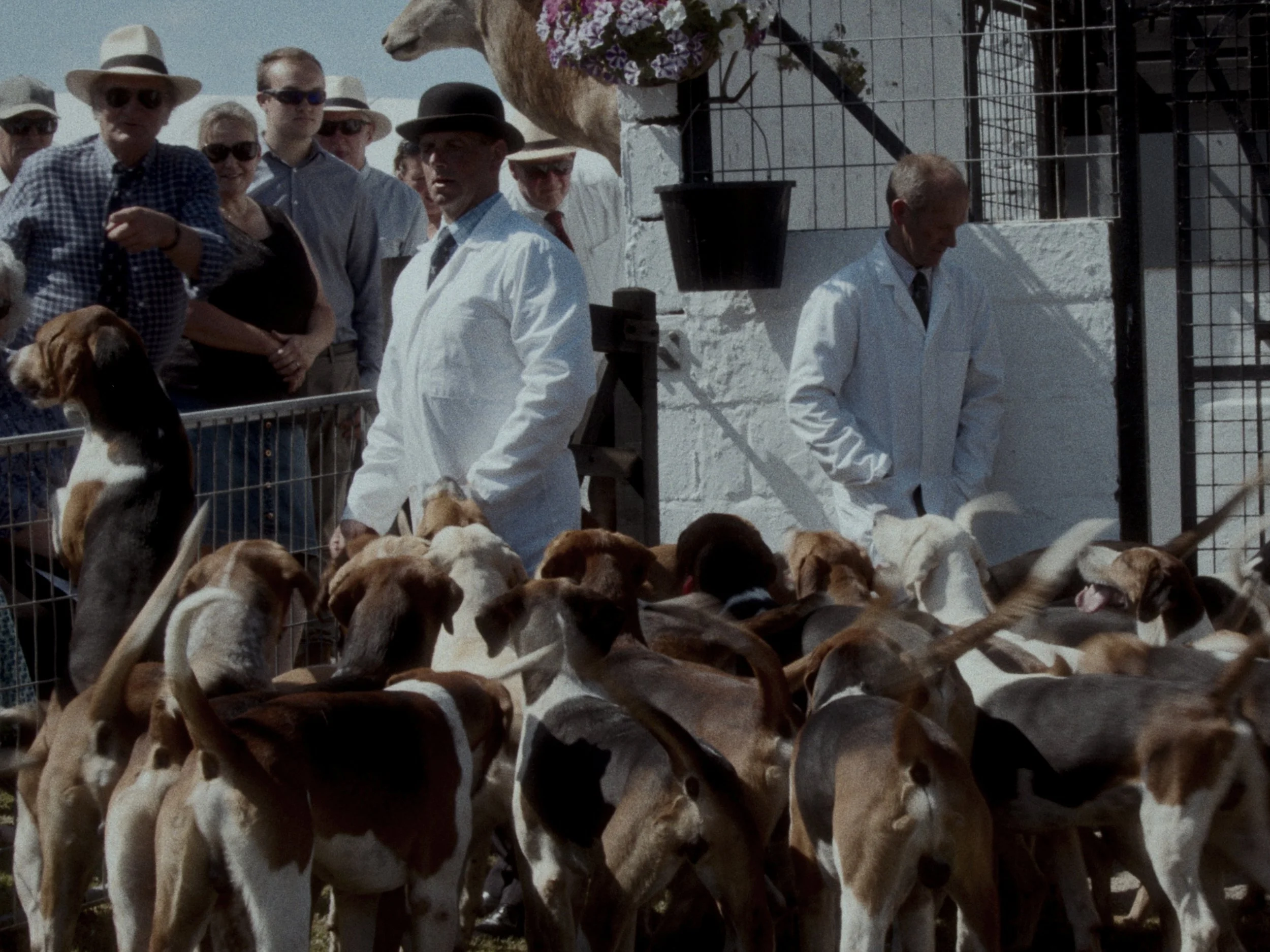Still 2026-10-06 131221_1.12.1.T.jpg