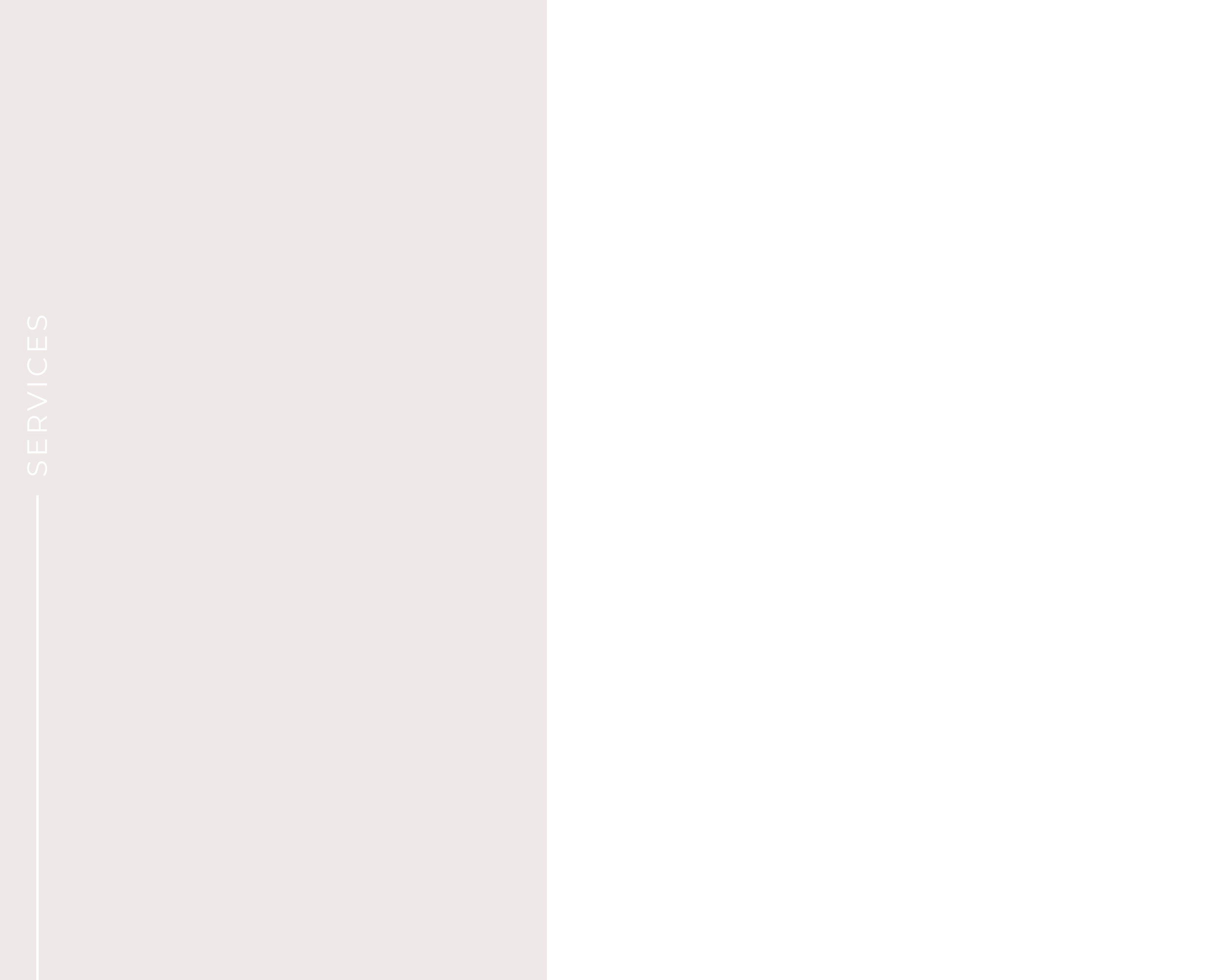 Services1a.jpg