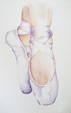 2010 Ballet slippers.jpg