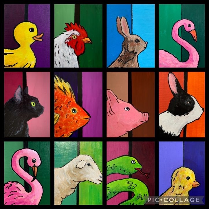 POP ANIMAL SERIES