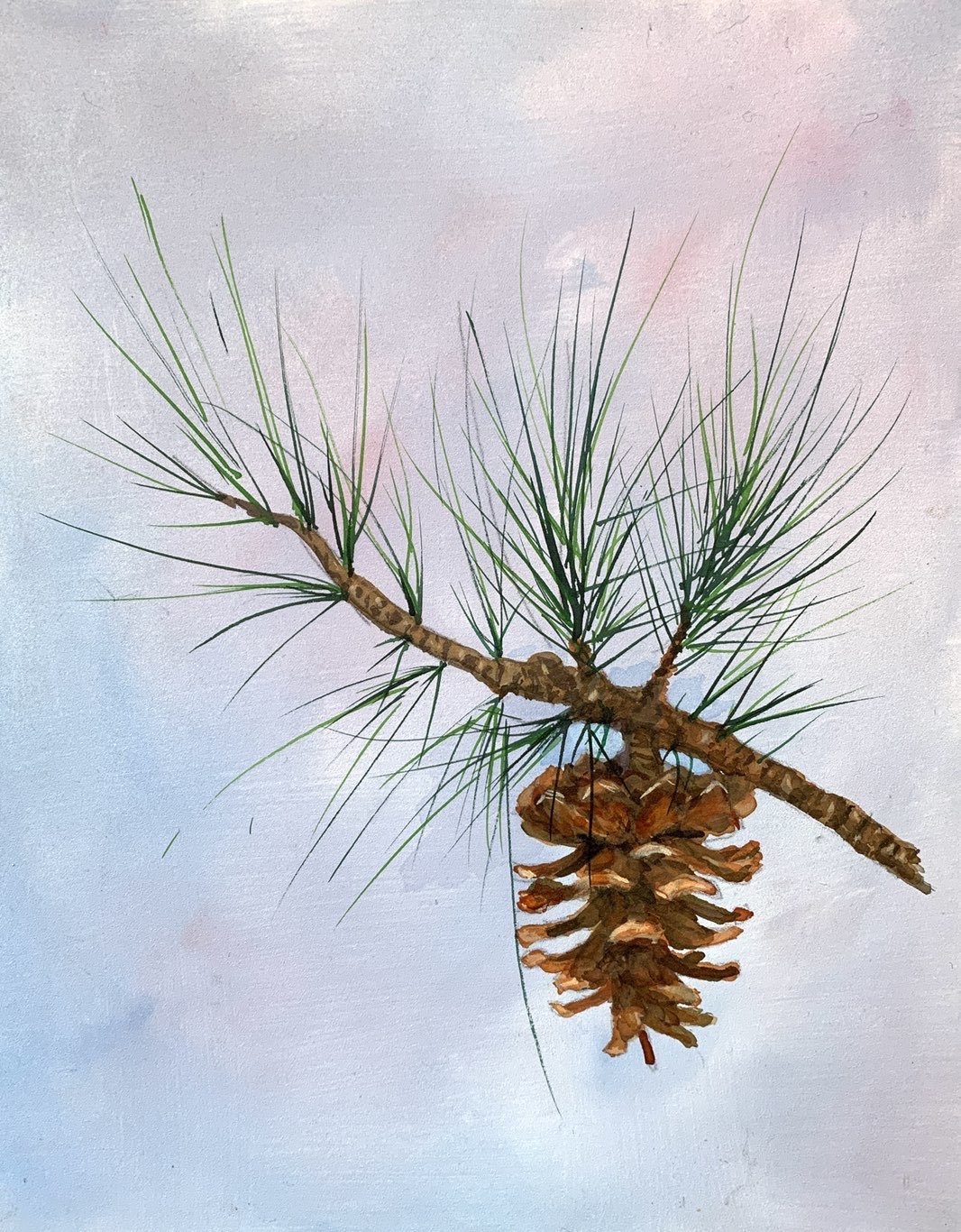 Pine Cone