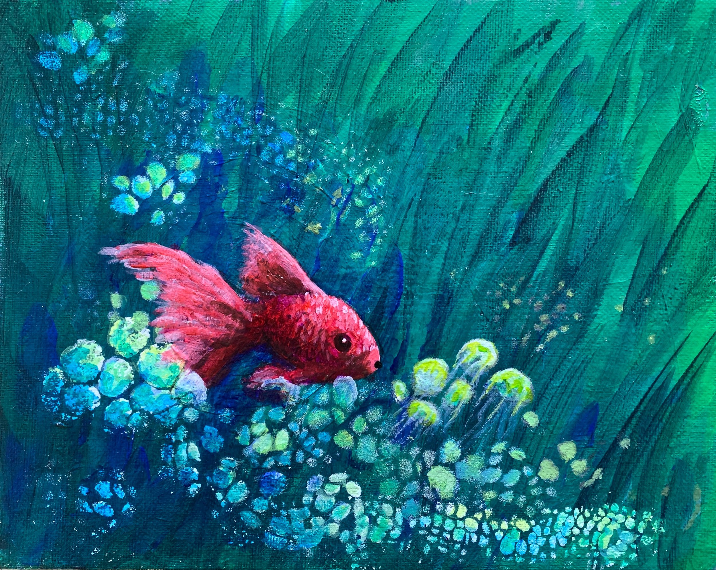 RED FISH