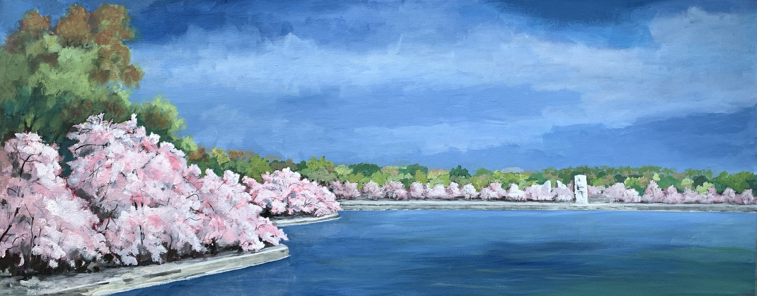 CHERRY BLOSSOMS - TIDAL BASIN 