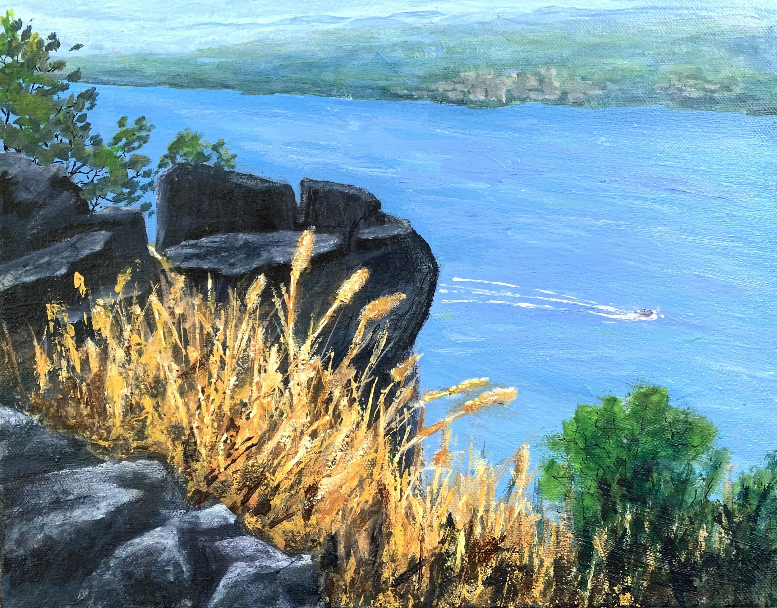 VIEW FROM THE PALISADES     ACRYLIC ON CANVAS  11”X14”  $250.00