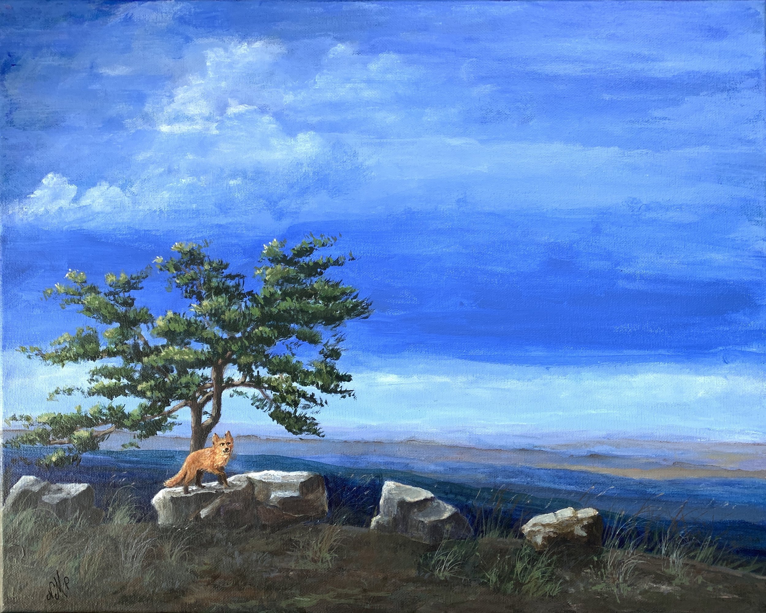 HIGH VISTA     ACRYLIC ON CANVAS  16”X20”     $425.00 +tax