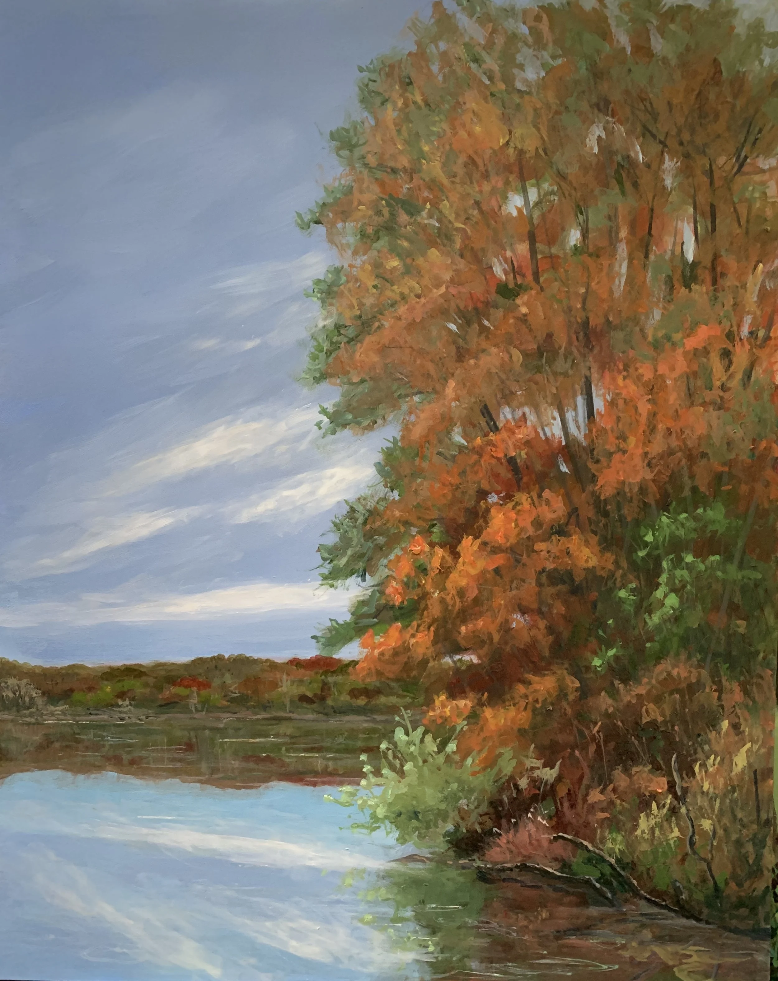 LAKE ACCOTINK PARK   ACRYLIC    16X20  $350