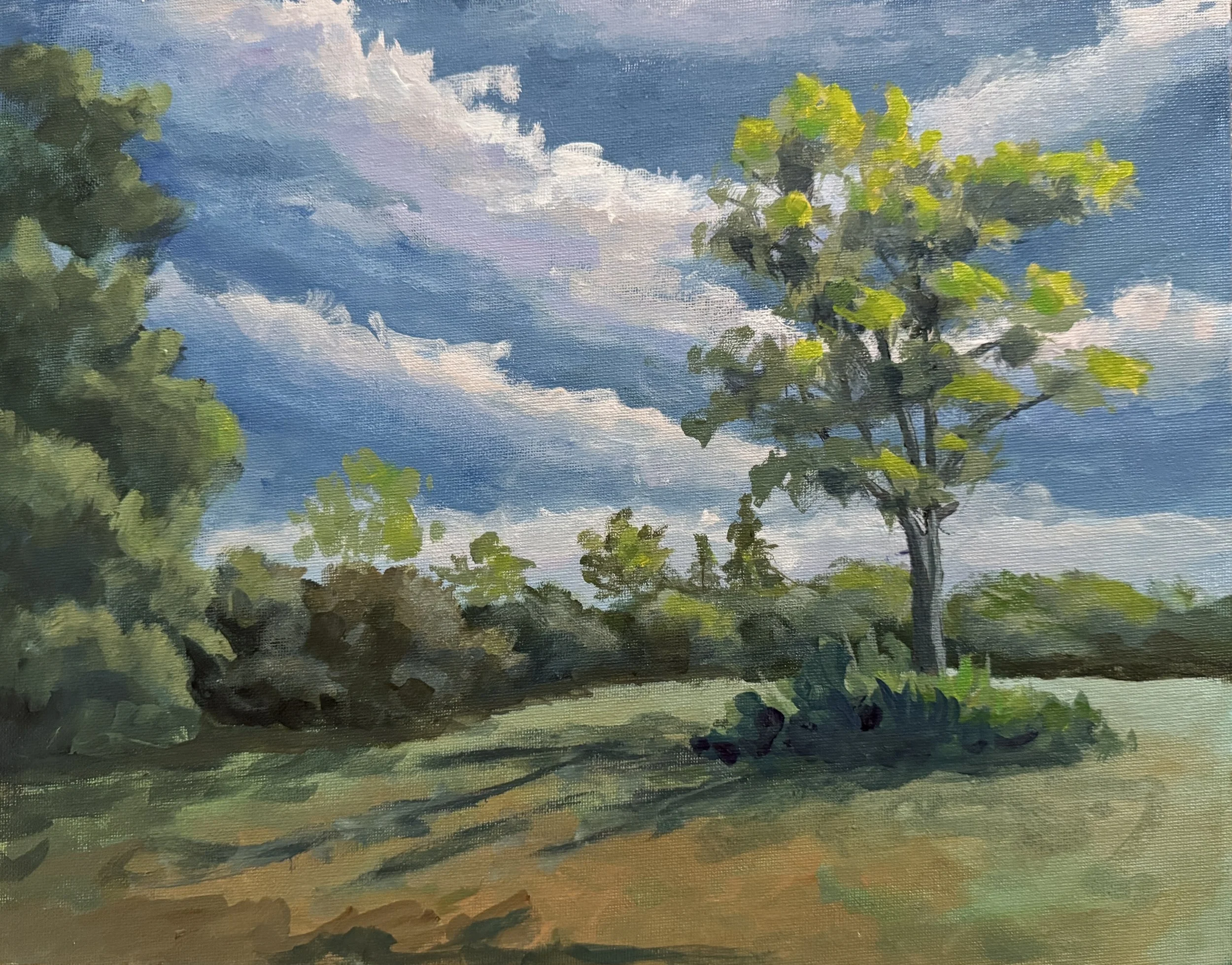 CLOUDS OVER GREEN SPRING GARDENS   ACRYLIC    11X14  $225