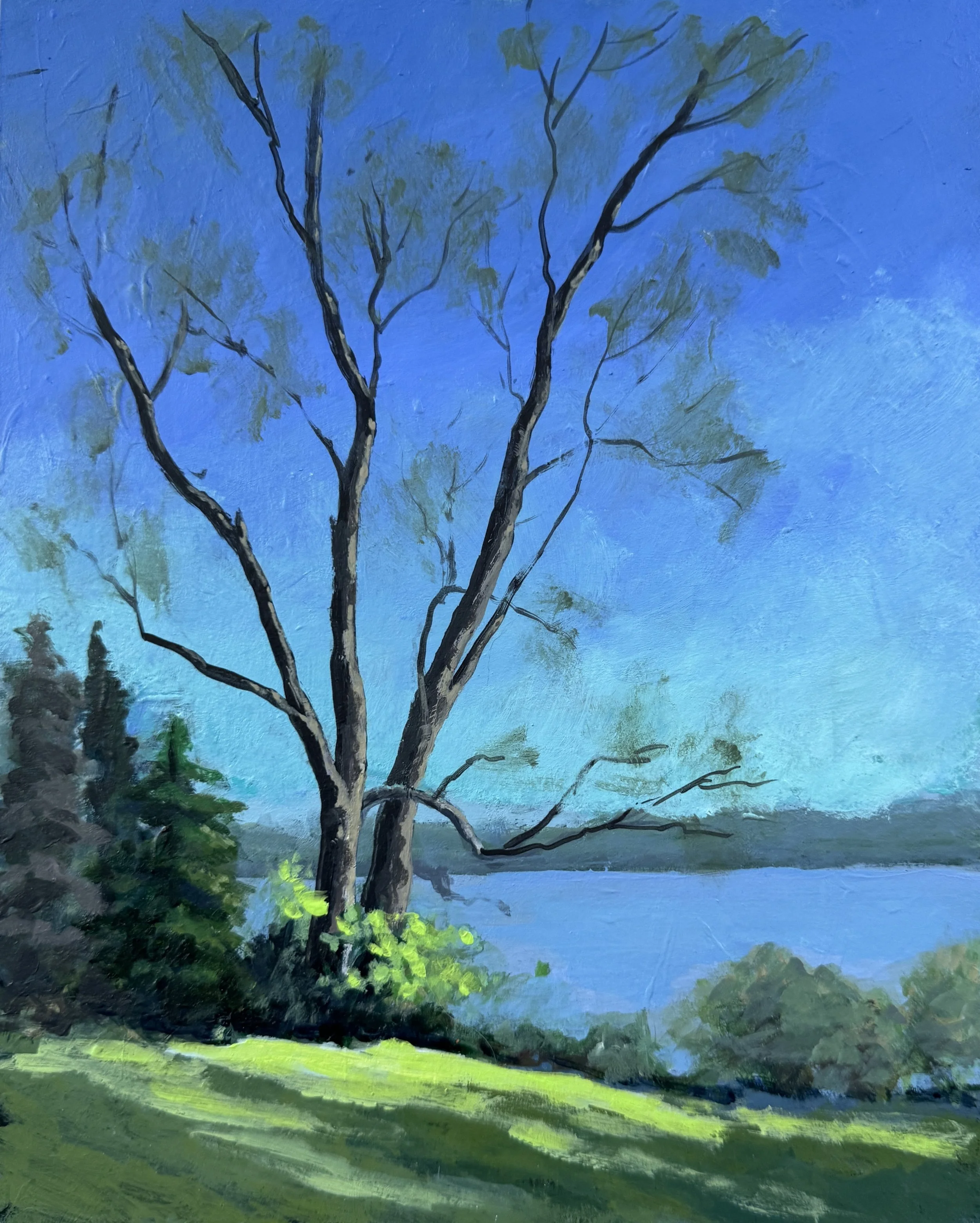 RIVER FARM TREE - SPRING    ACRYLIC   8X10    $200