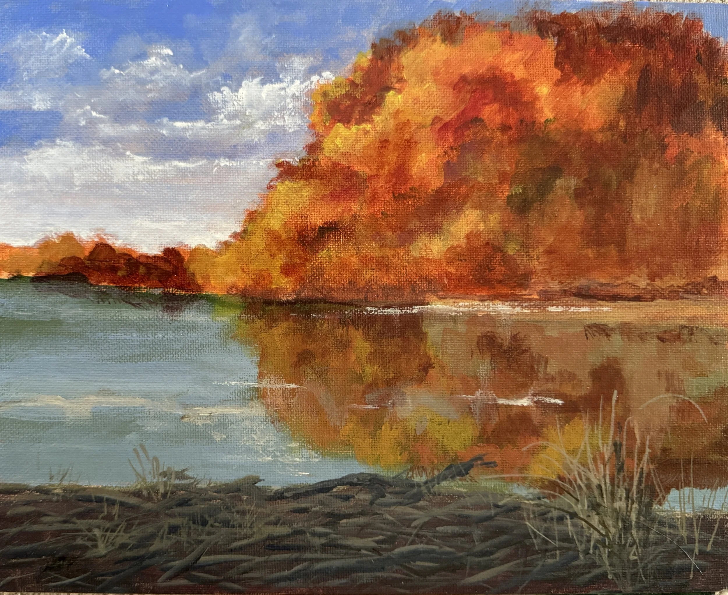 LAKE ACCOTINK - FALL   ACRYLIC   8X10  $125