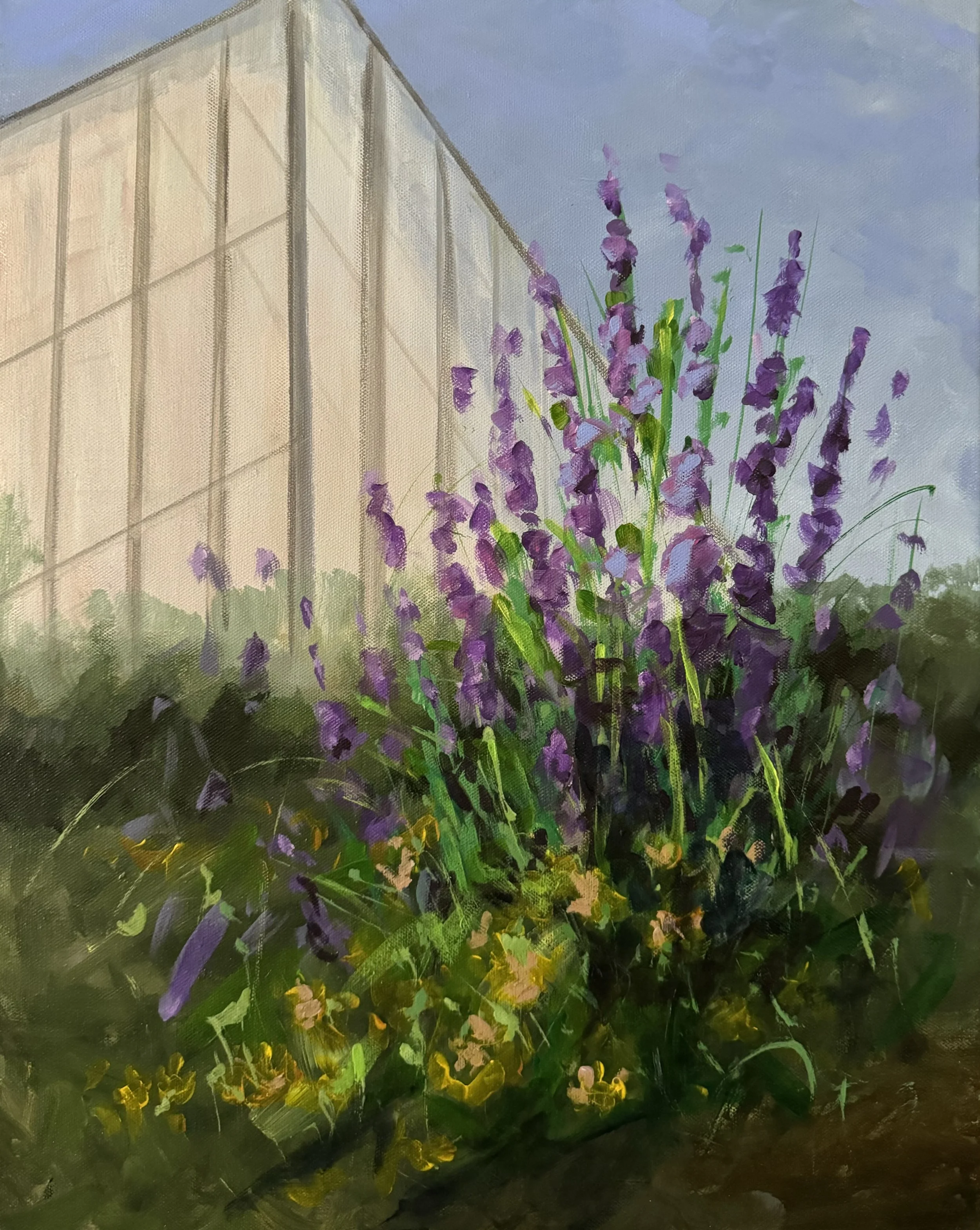 GREEN SPRING GARDENS GREENHOUSE - PURPLE FLOWERS  ACRYLIC   16X20  $350