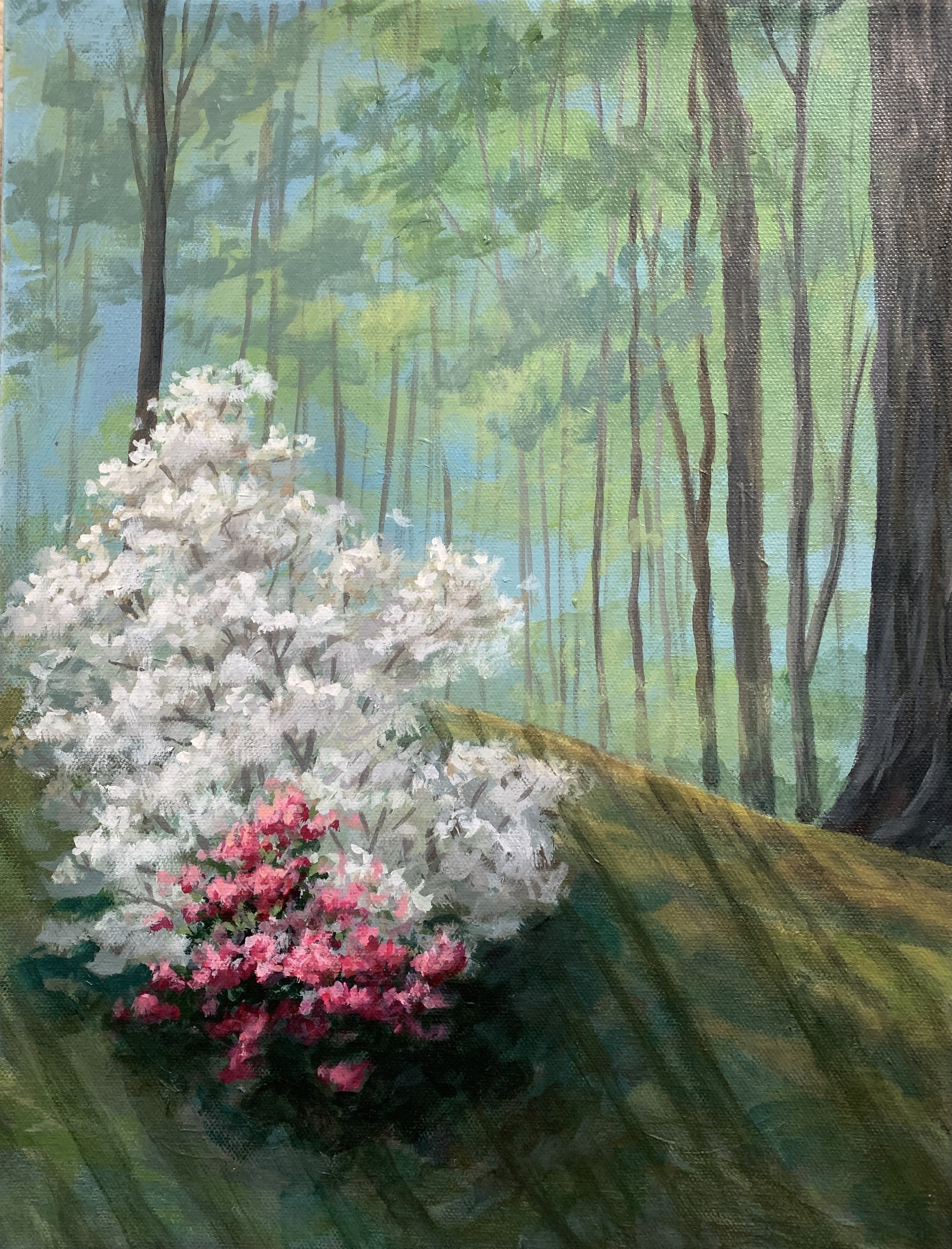 AZALEA    ACRYLIC  11X14  $250