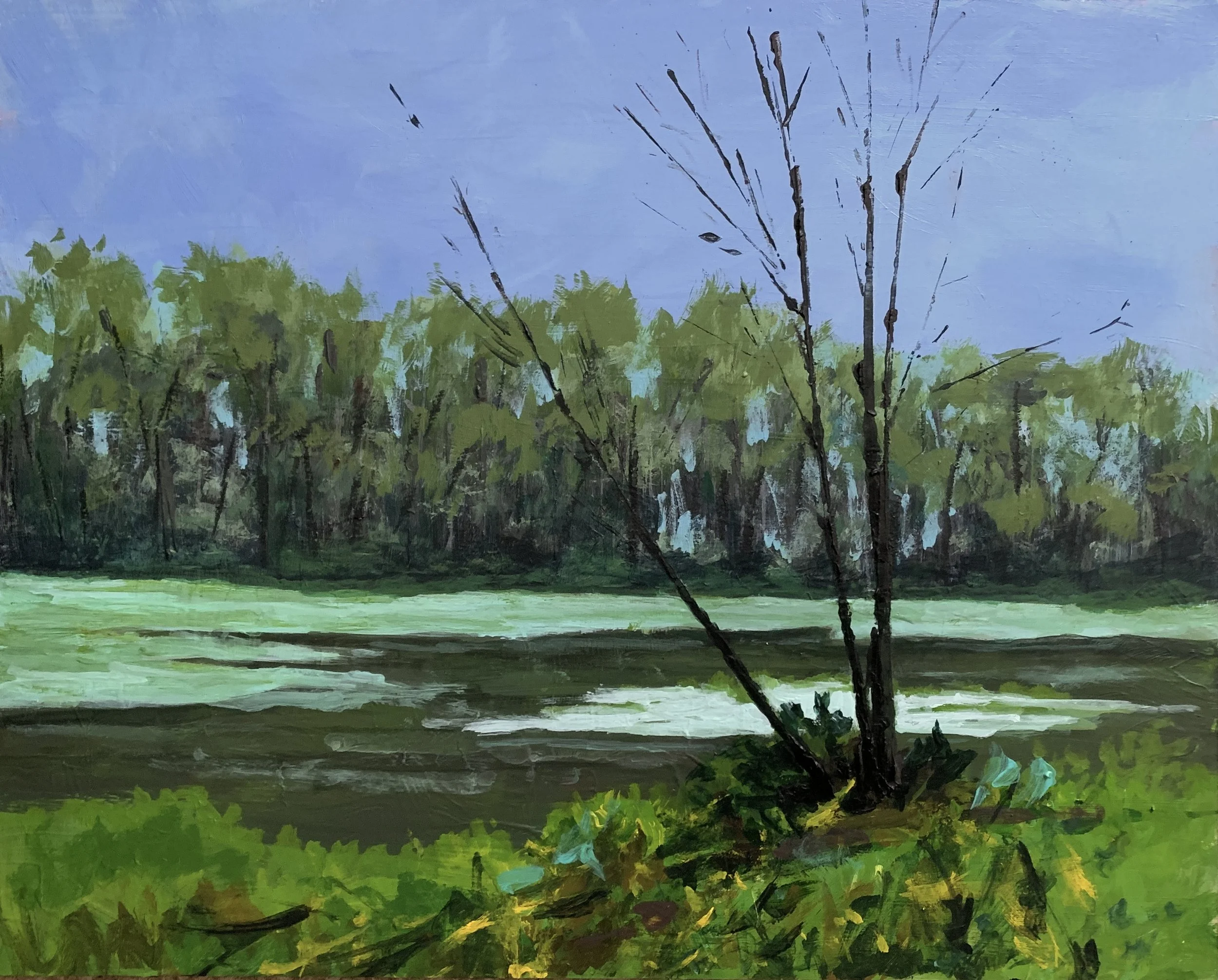 HUNTLEY MEADOWS  ACRYLIC   8X10  $200