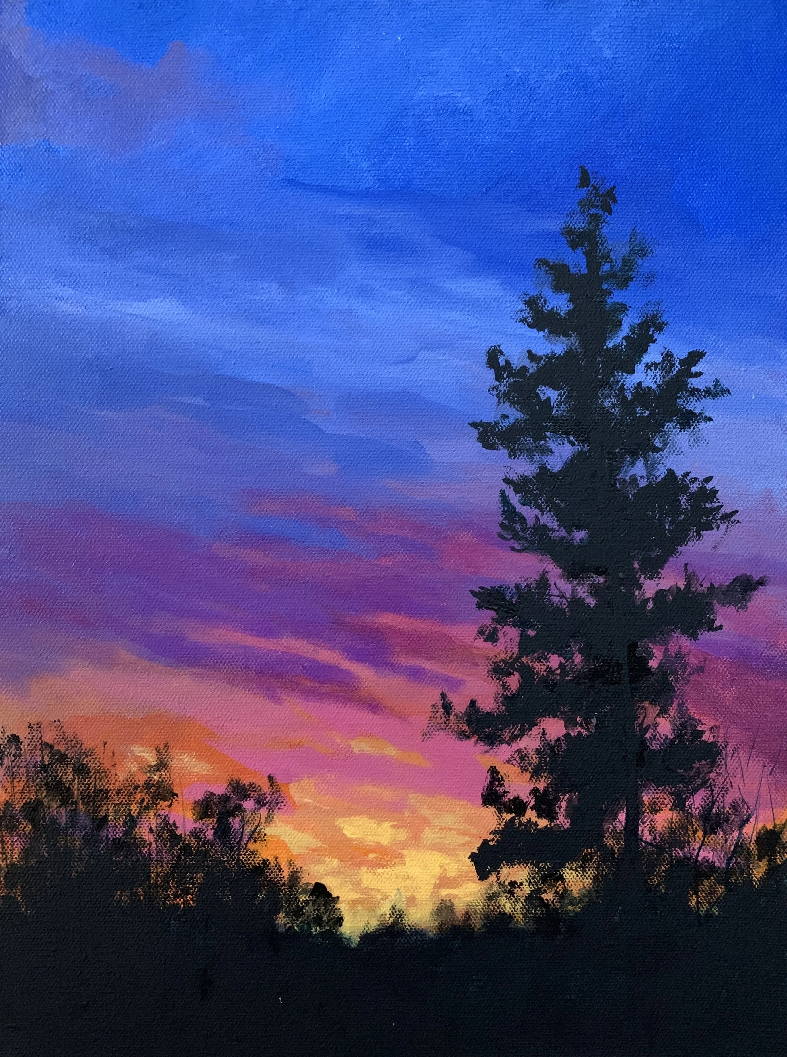 SUNSET - WINTER    ACRYLIC   11X14    $250