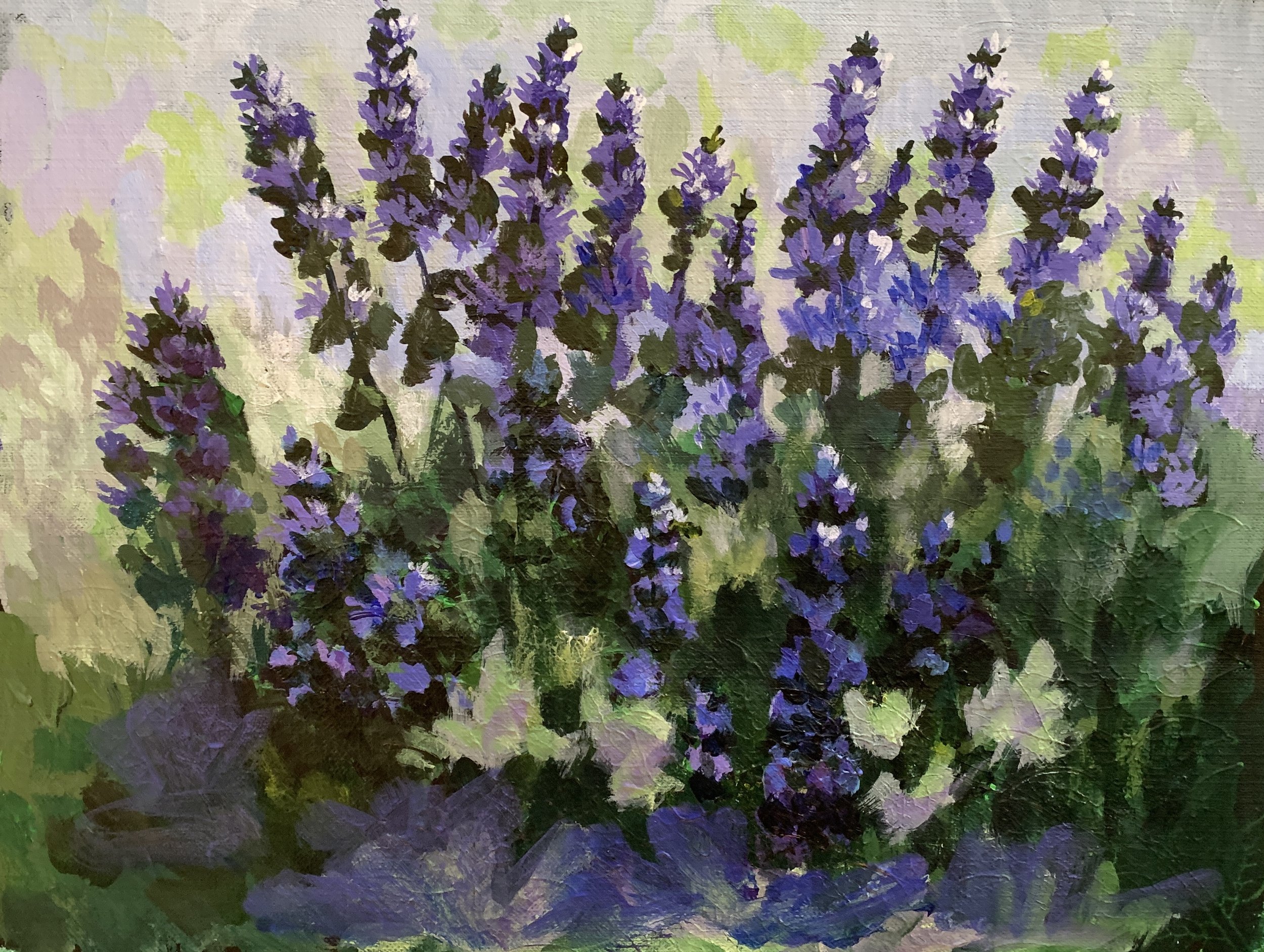 SALVIA    ACRYLIC   8X10    $200