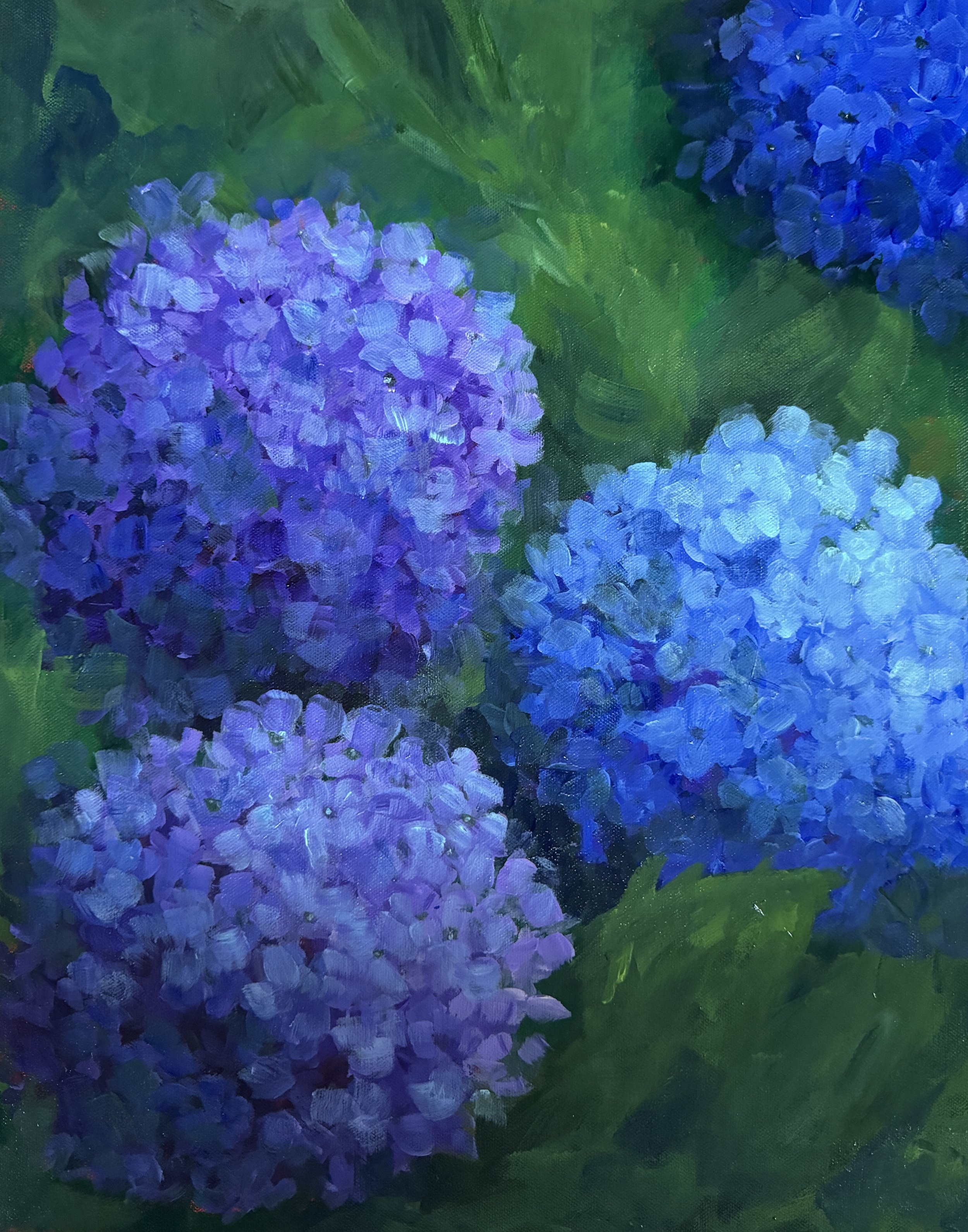 HYDRANGEA   ACRYLIC   16X20   $275